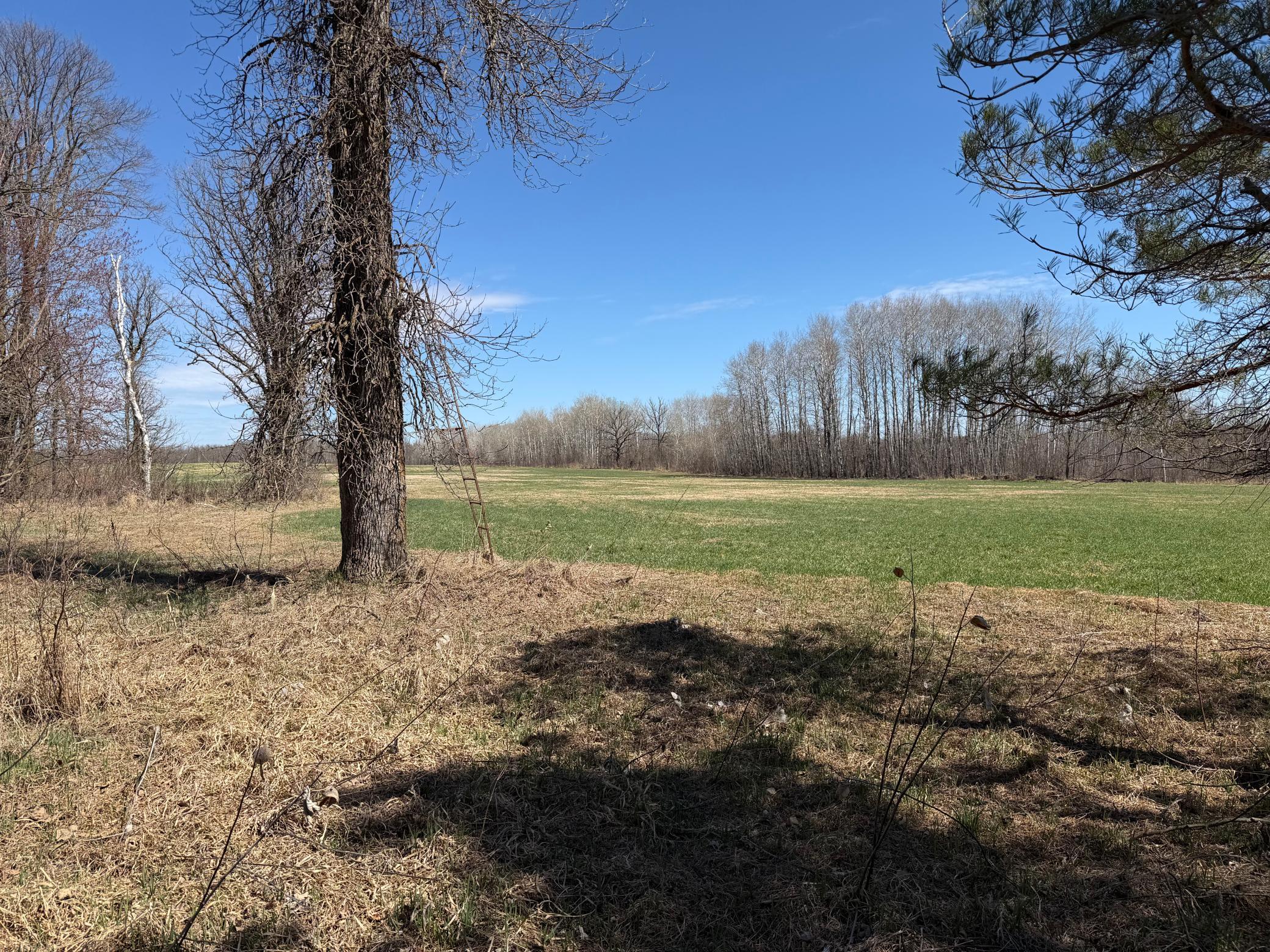 TBD 62nd Street SW, Staples MN 56479 - Photo 13 of 68
