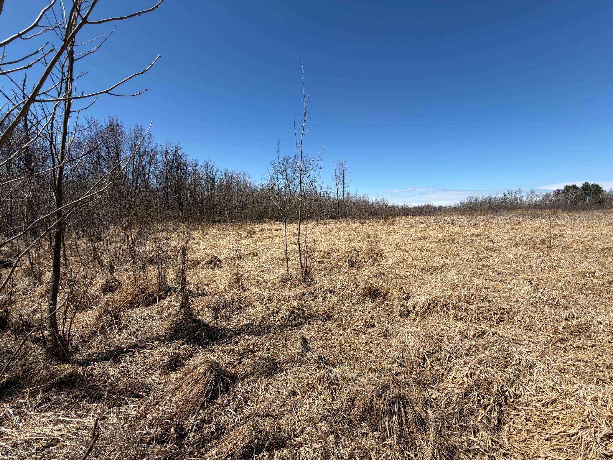 TBD 62nd Street SW, Staples MN 56479 - Photo 15 of 68