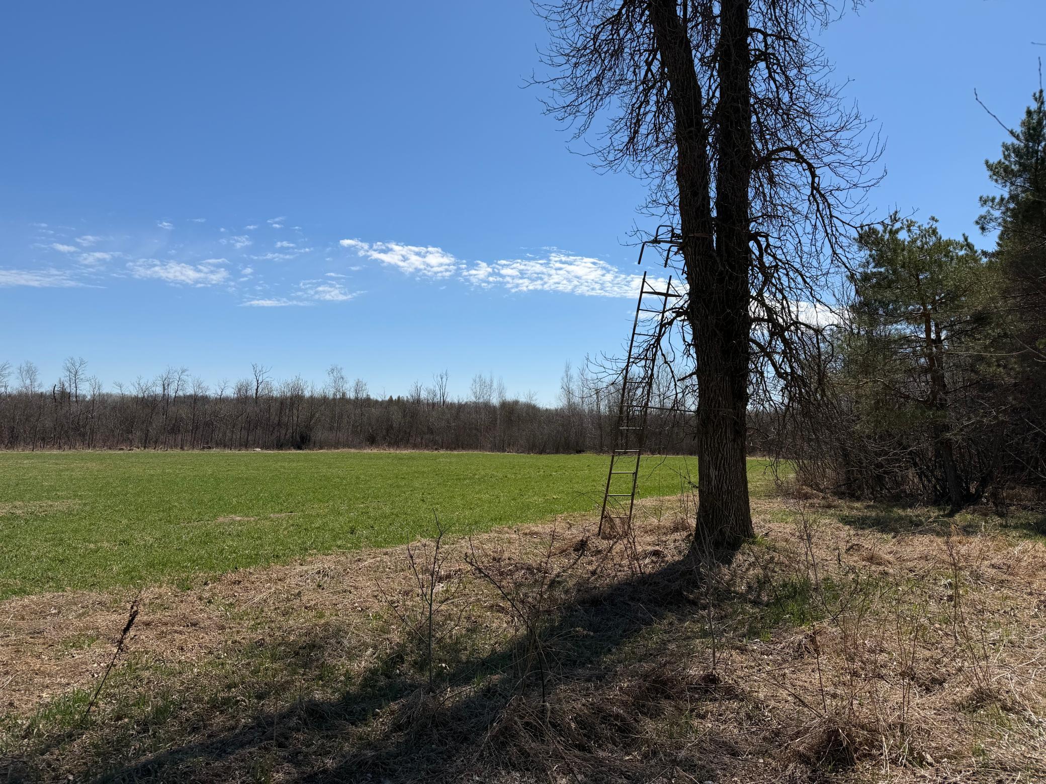 TBD 62nd Street SW, Staples MN 56479 - Photo 19 of 68