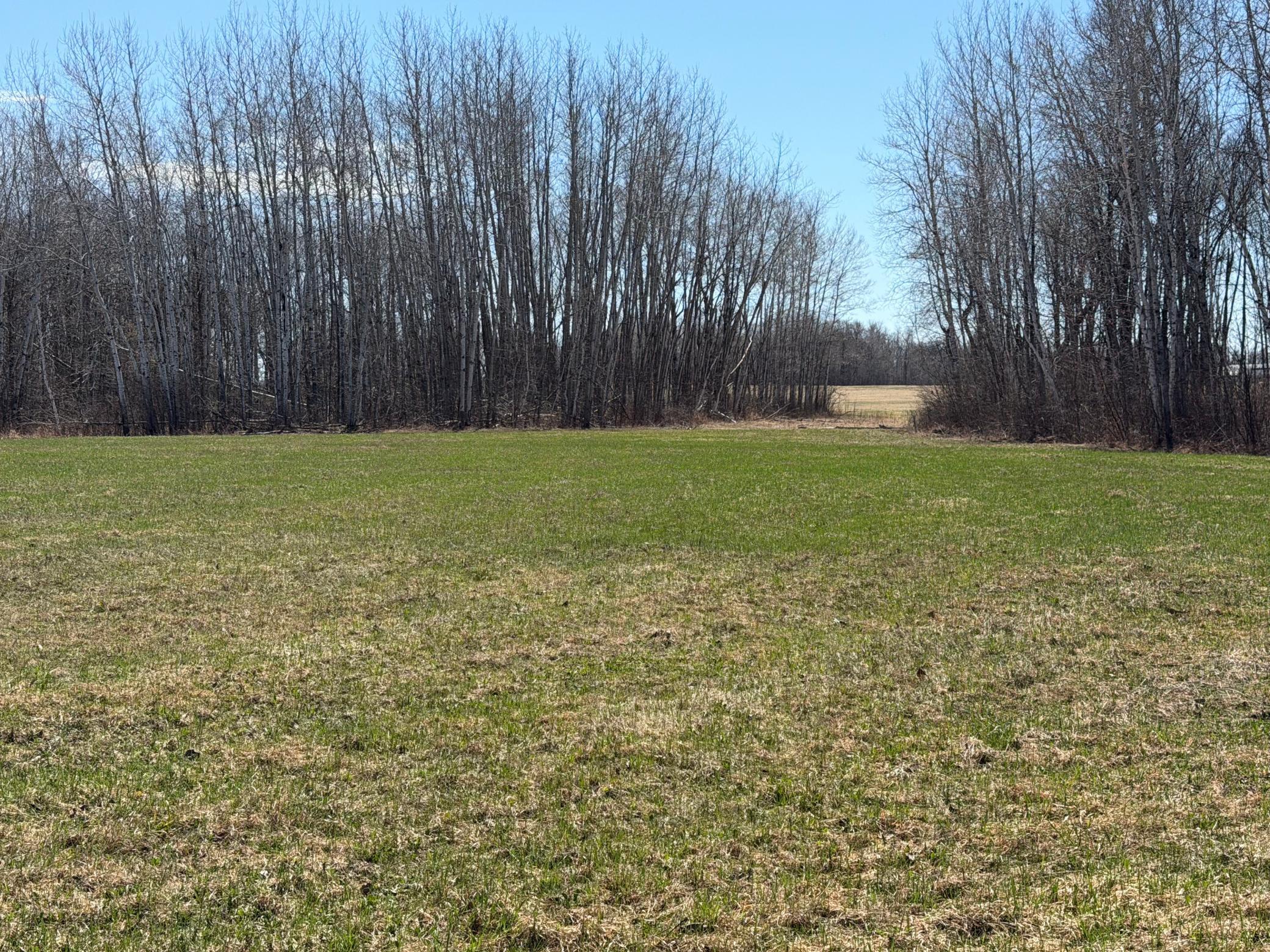 TBD 62nd Street SW, Staples MN 56479 - Photo 20 of 68