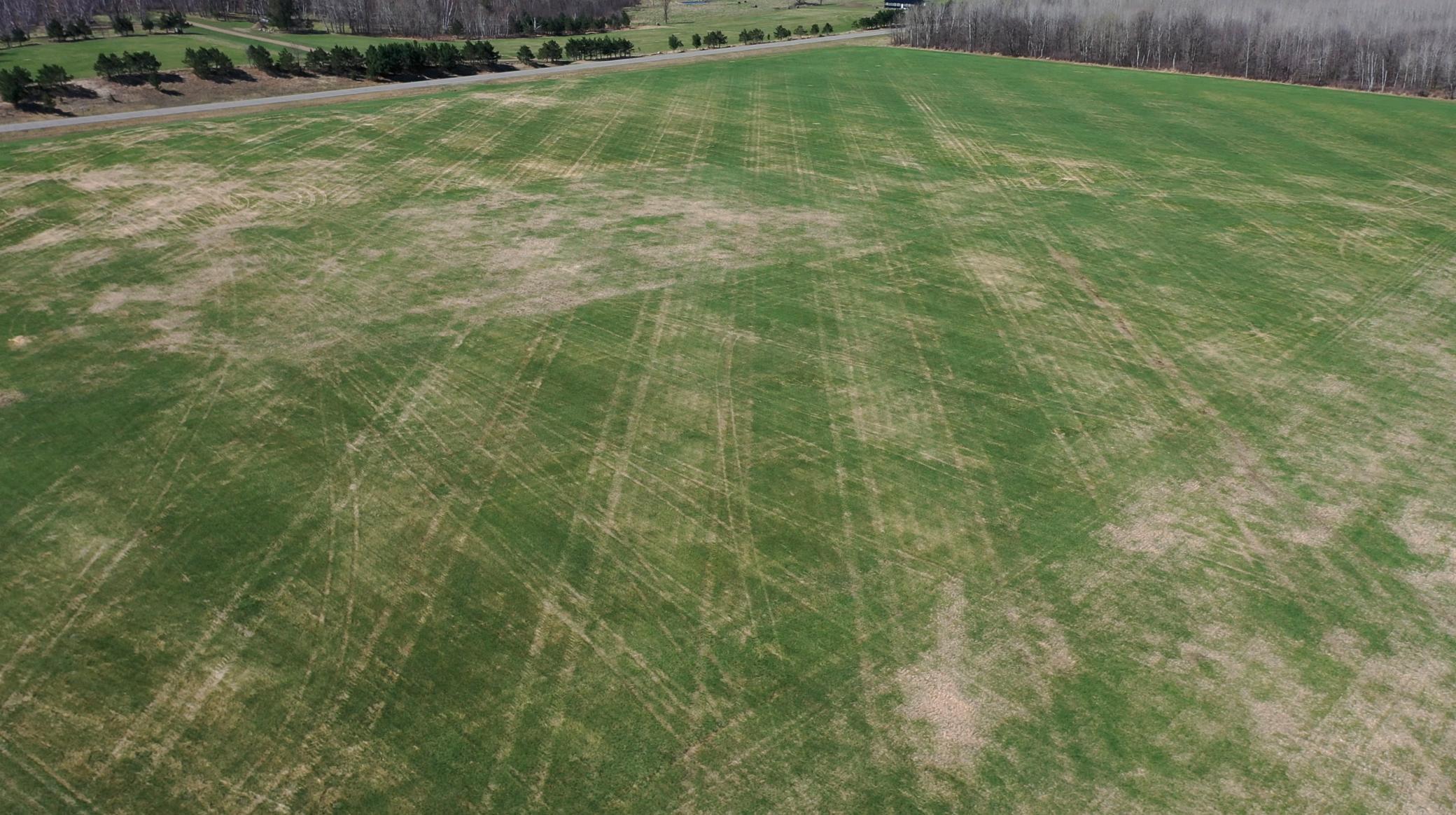 TBD 62nd Street SW, Staples MN 56479 - Photo 23 of 68