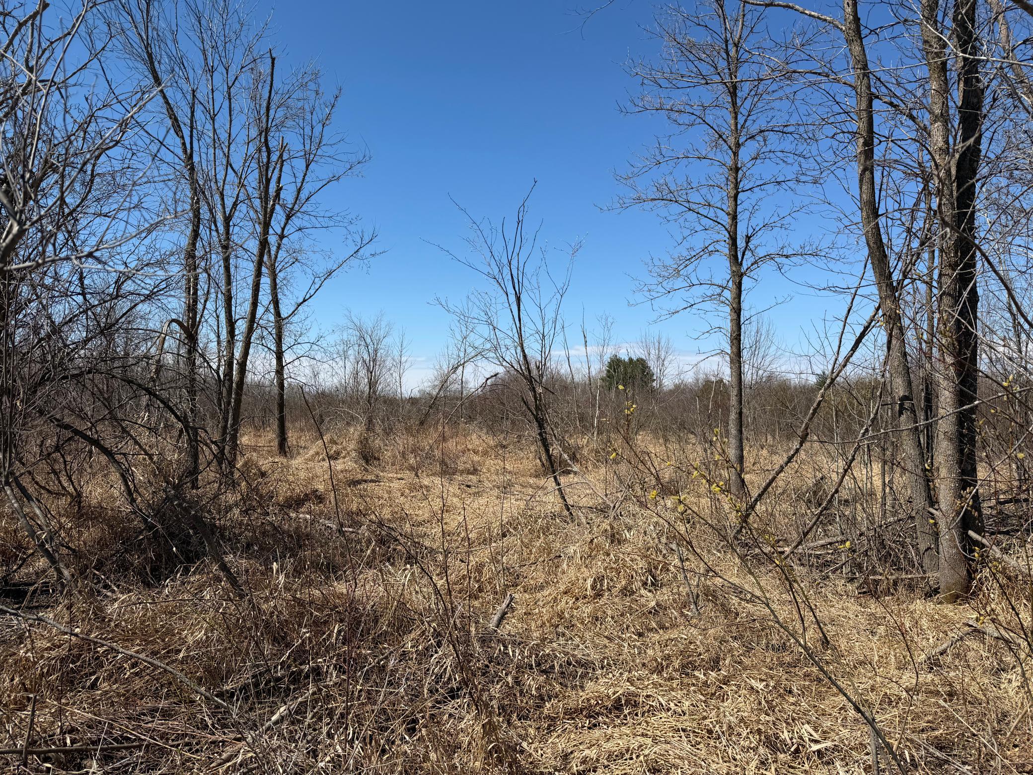 TBD 62nd Street SW, Staples MN 56479 - Photo 24 of 68