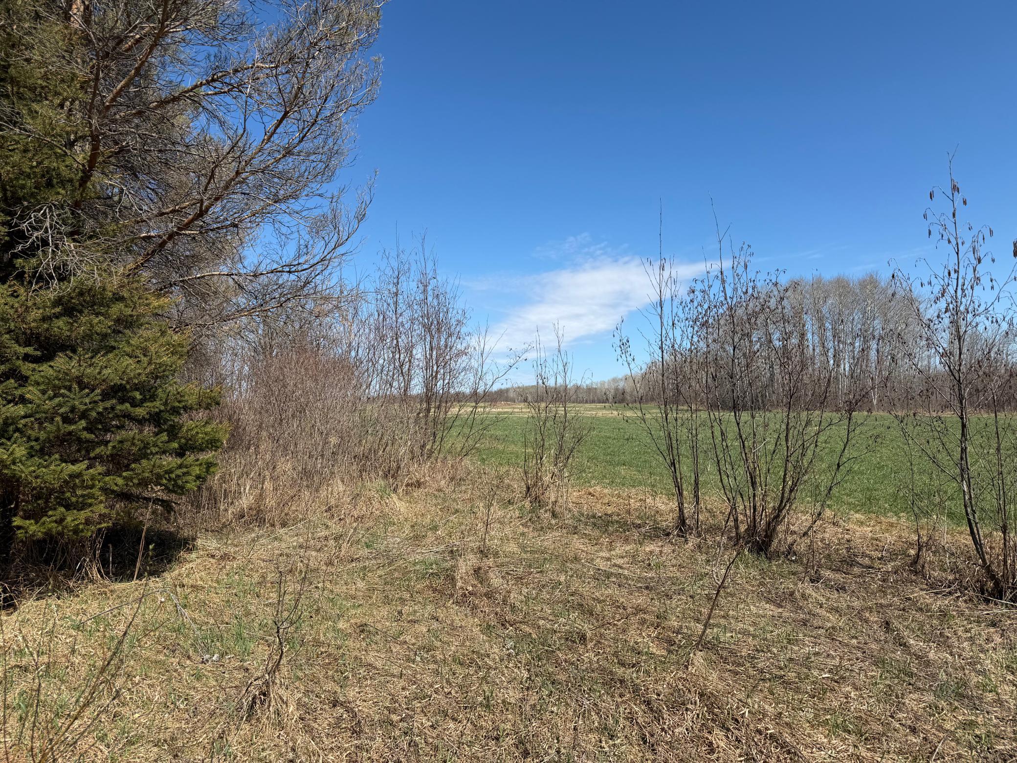 TBD 62nd Street SW, Staples MN 56479 - Photo 25 of 68