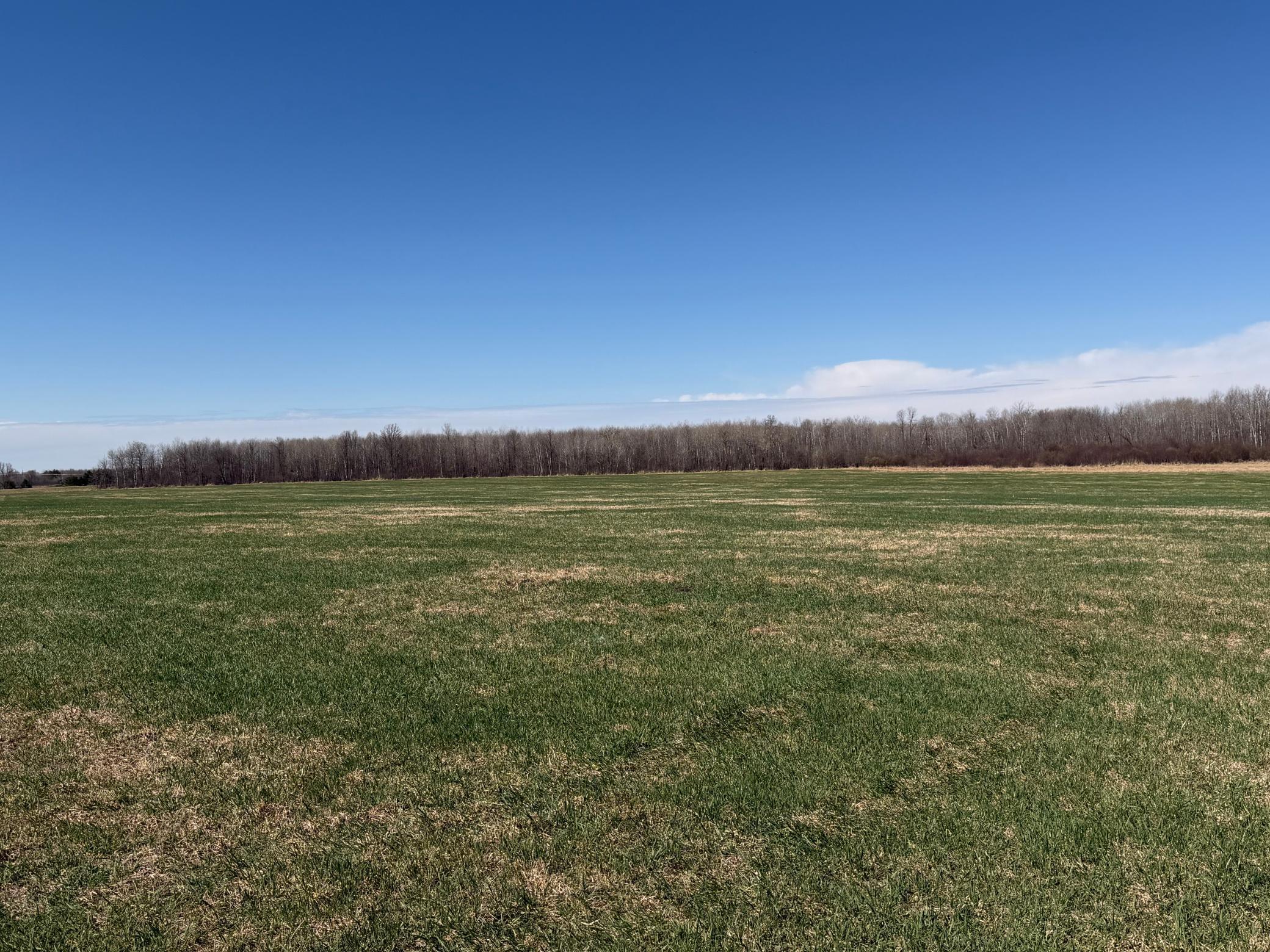 TBD 62nd Street SW, Staples MN 56479 - Photo 35 of 68