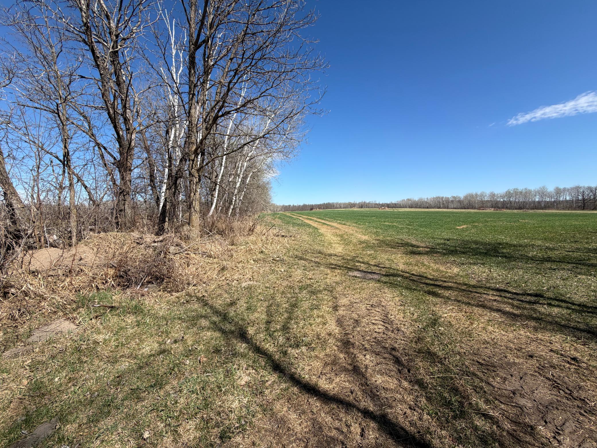 TBD 62nd Street SW, Staples MN 56479 - Photo 37 of 68