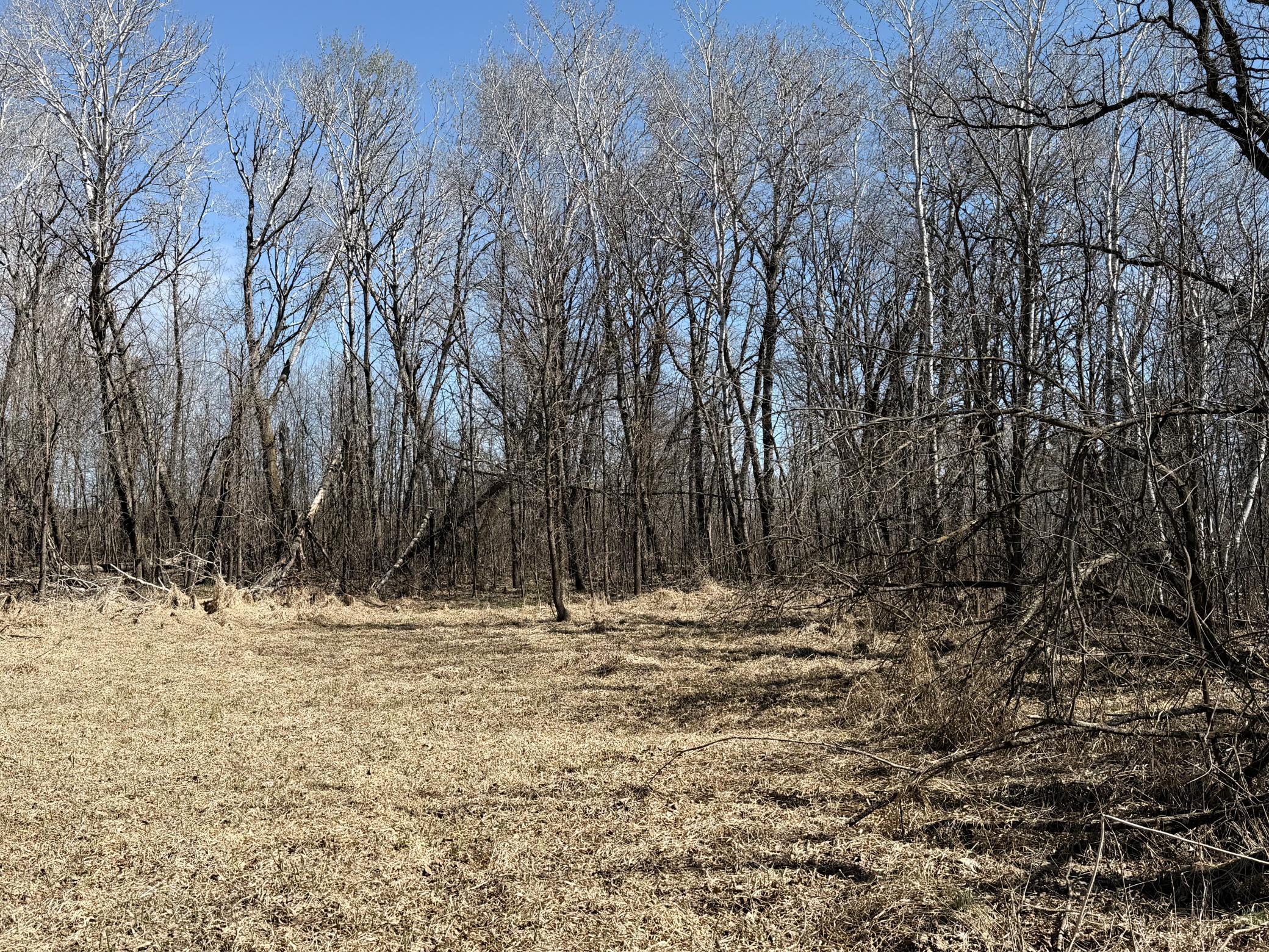 TBD 62nd Street SW, Staples MN 56479 - Photo 40 of 68