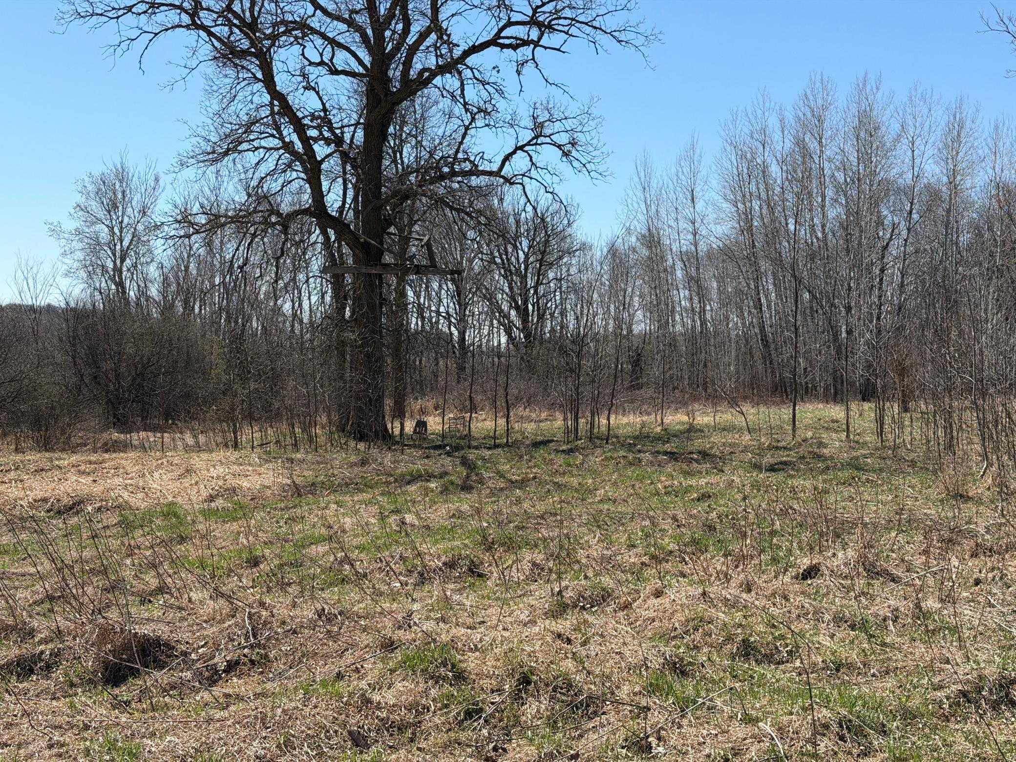 TBD 62nd Street SW, Staples MN 56479 - Photo 42 of 68