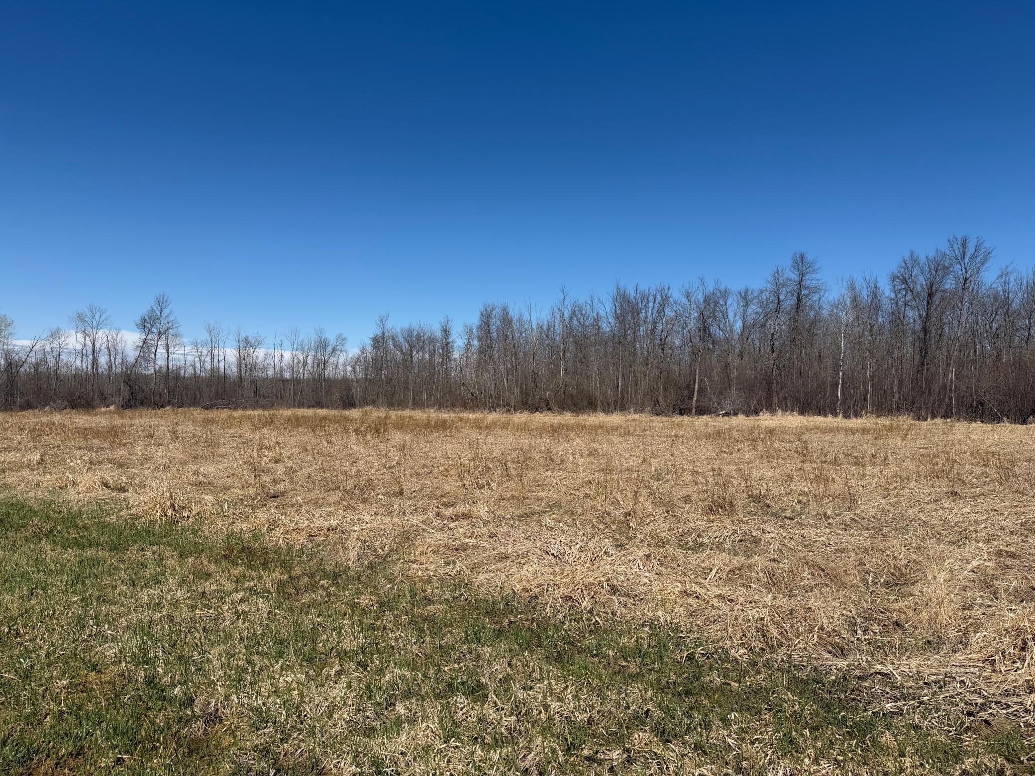 TBD 62nd Street SW, Staples MN 56479 - Photo 46 of 68