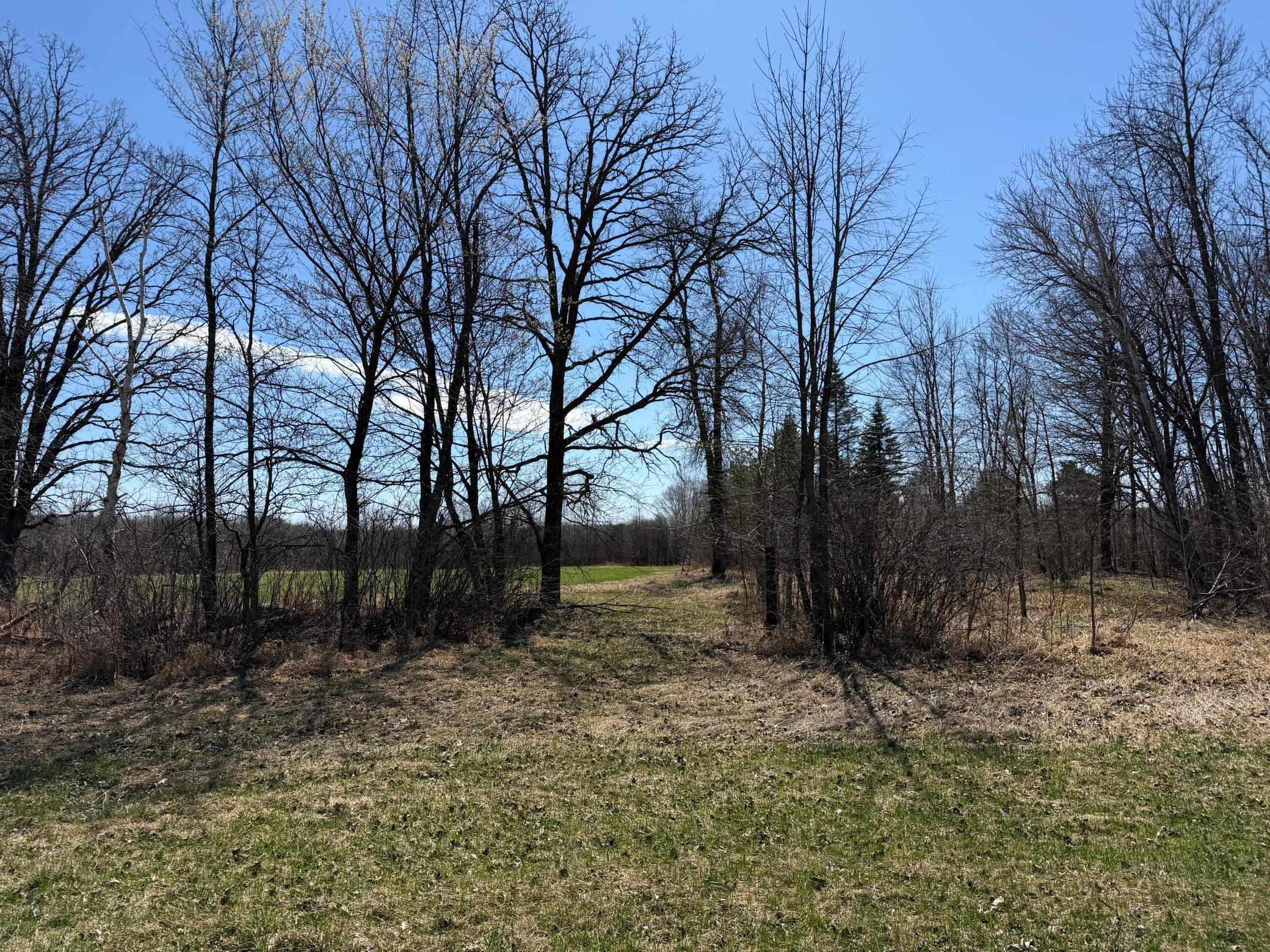 TBD 62nd Street SW, Staples MN 56479 - Photo 6 of 68