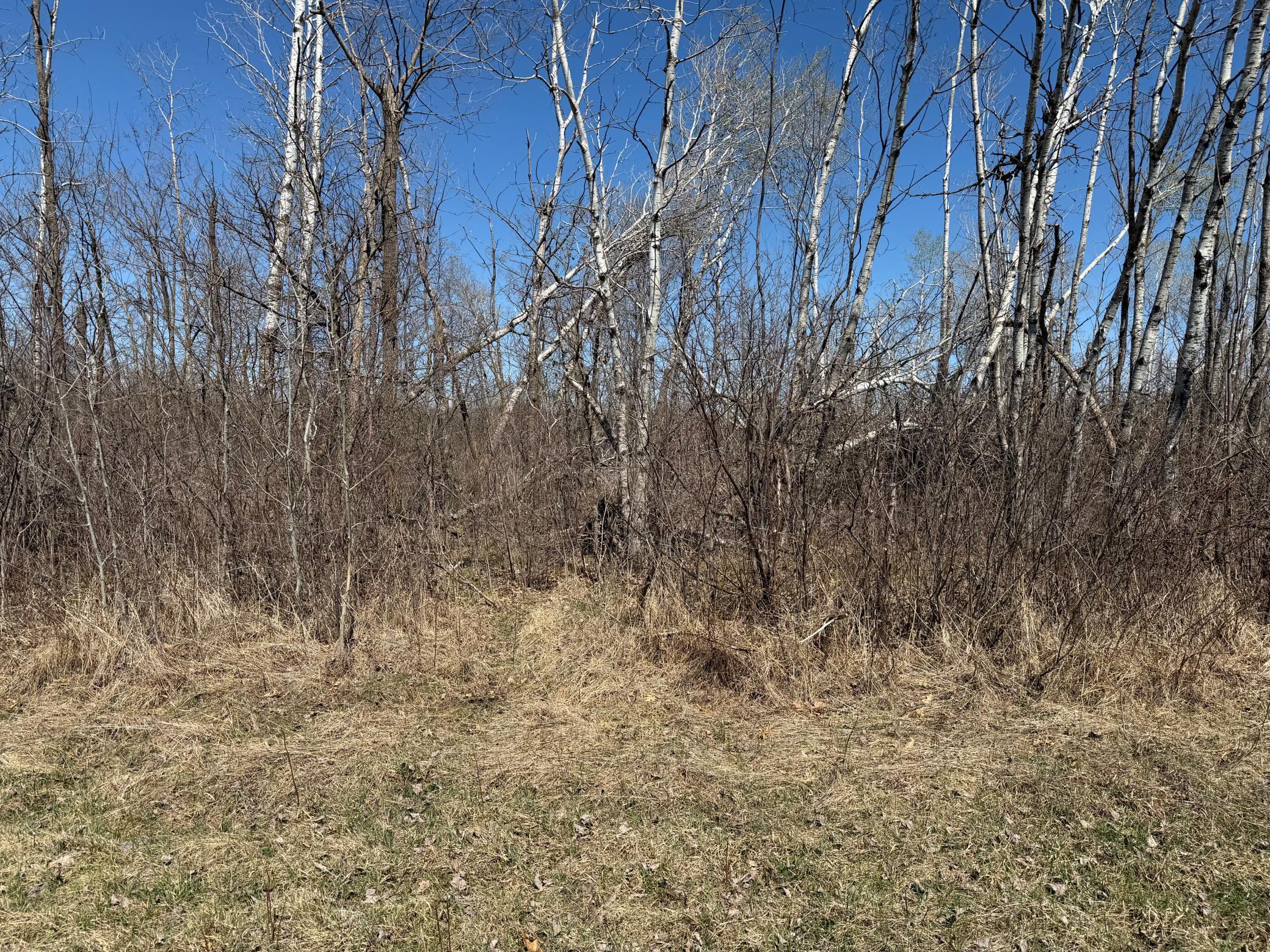TBD 62nd Street SW, Staples MN 56479 - Photo 51 of 68