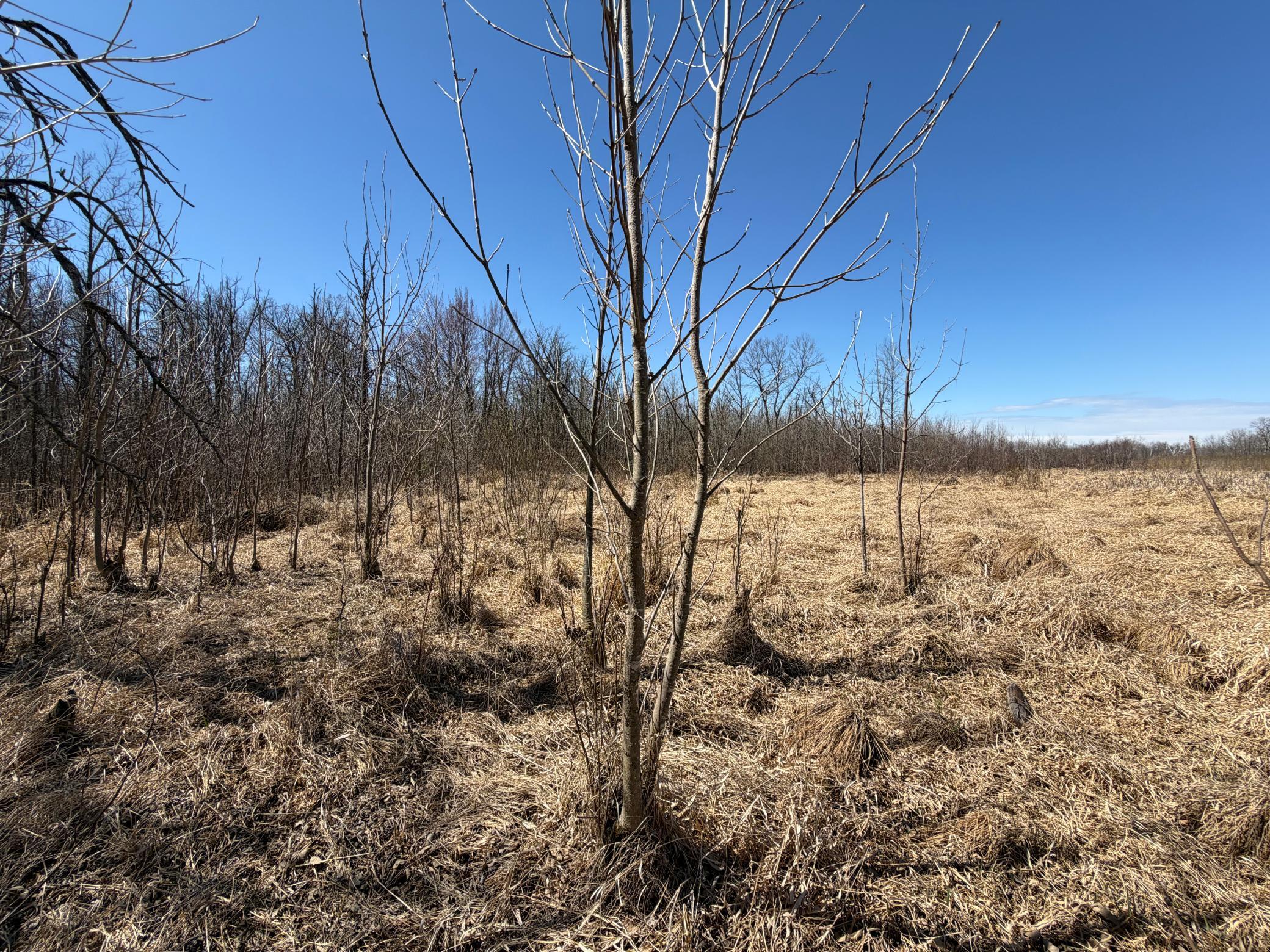 TBD 62nd Street SW, Staples MN 56479 - Photo 56 of 68