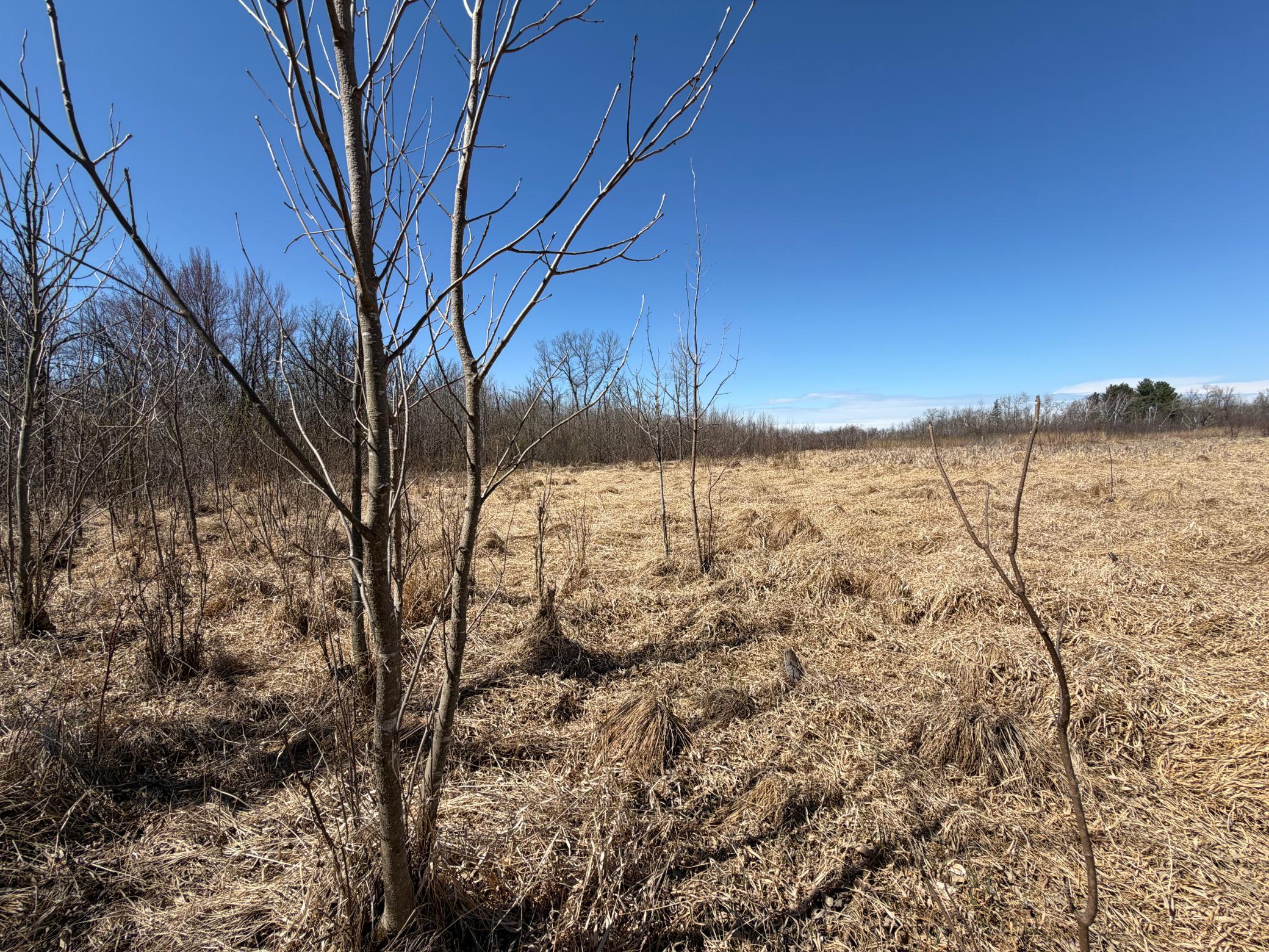 TBD 62nd Street SW, Staples MN 56479 - Photo 57 of 68