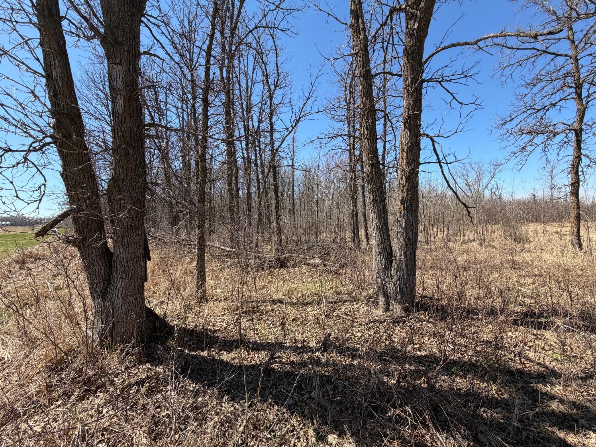 TBD 62nd Street SW, Staples MN 56479 - Photo 58 of 68