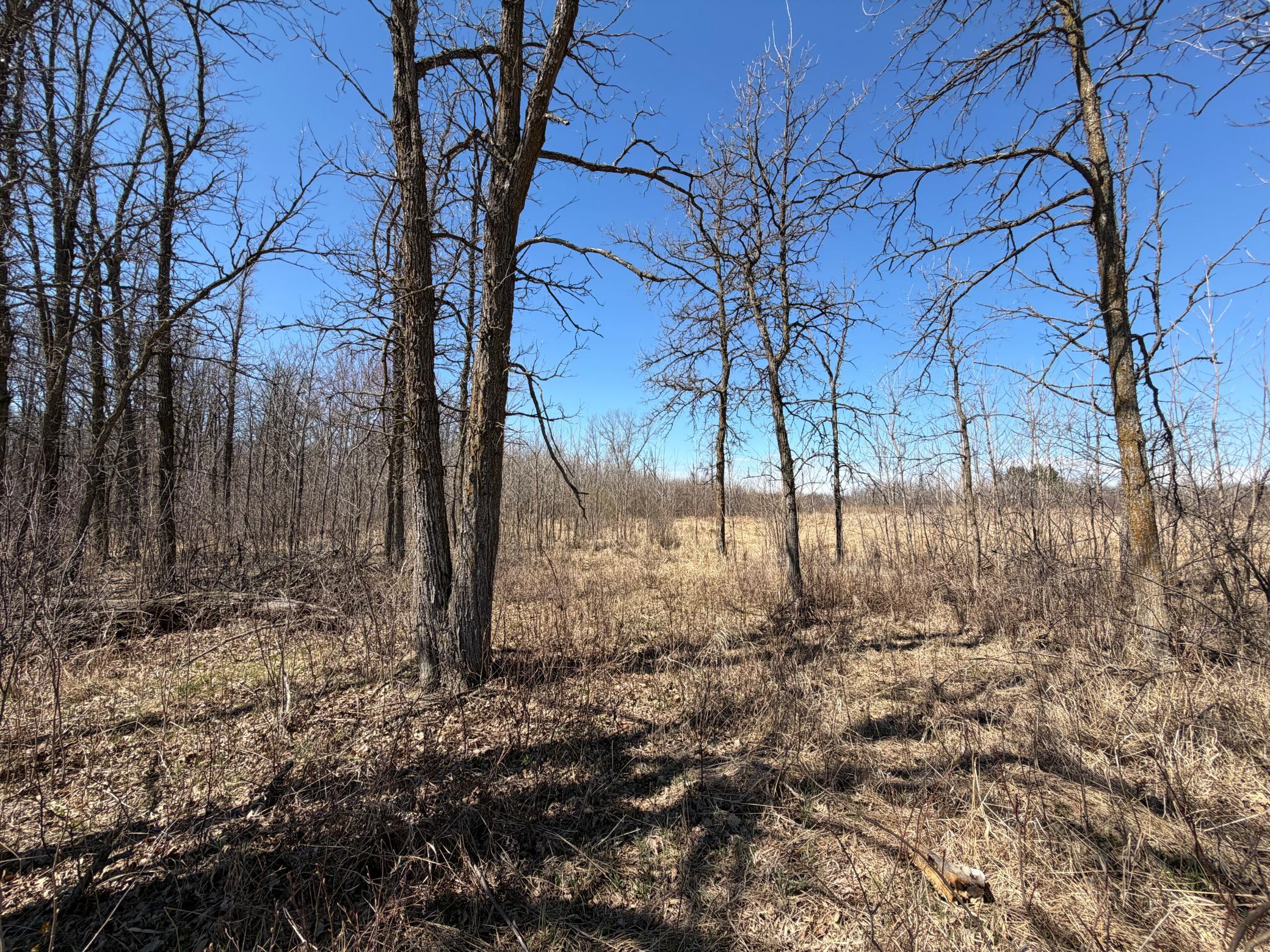 TBD 62nd Street SW, Staples MN 56479 - Photo 59 of 68