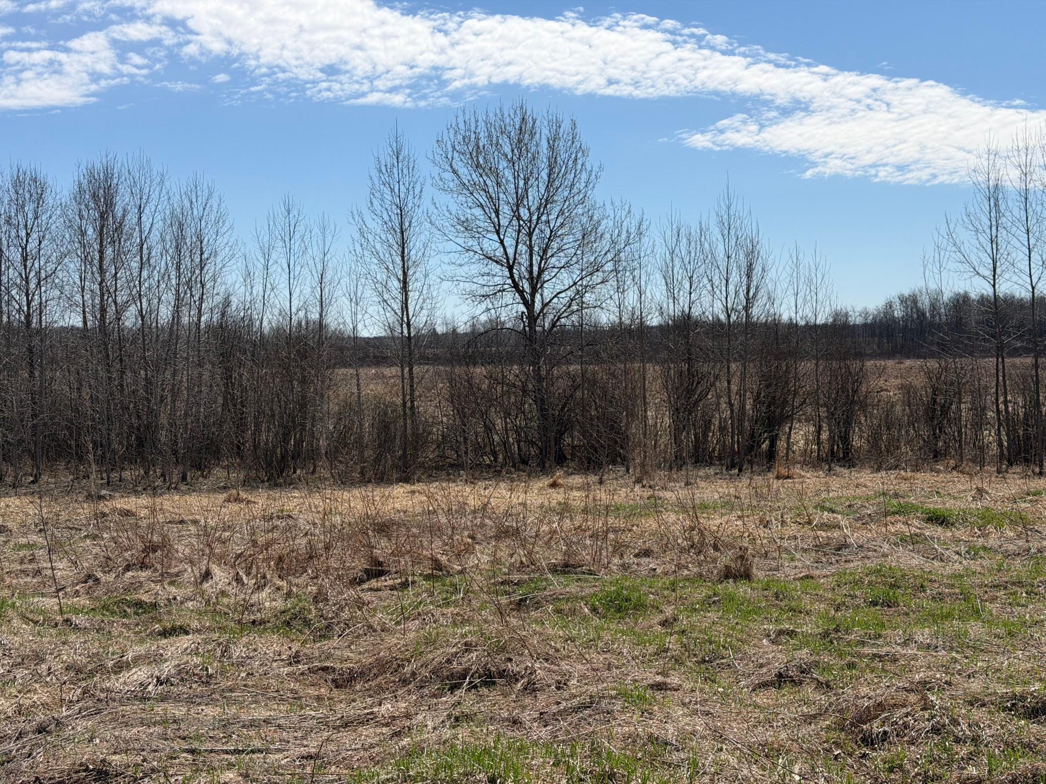 TBD 62nd Street SW, Staples MN 56479 - Photo 10 of 68