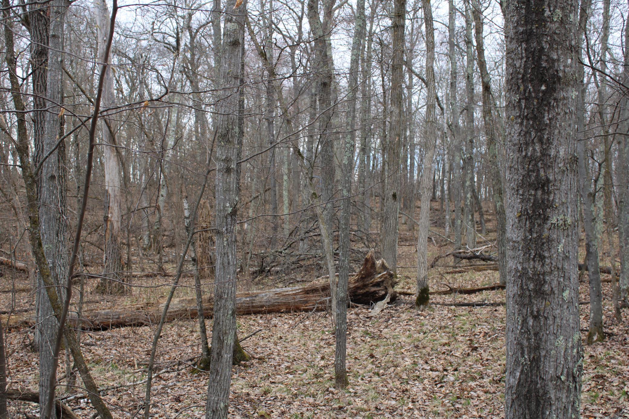 land for sale at TBD St. Moritz Boulevard in Breezy Point, MN