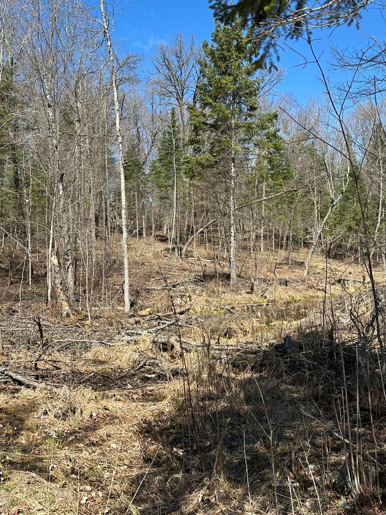 land for sale at TBD CT 307 in Blackduck, MN (photo 11 of 19)