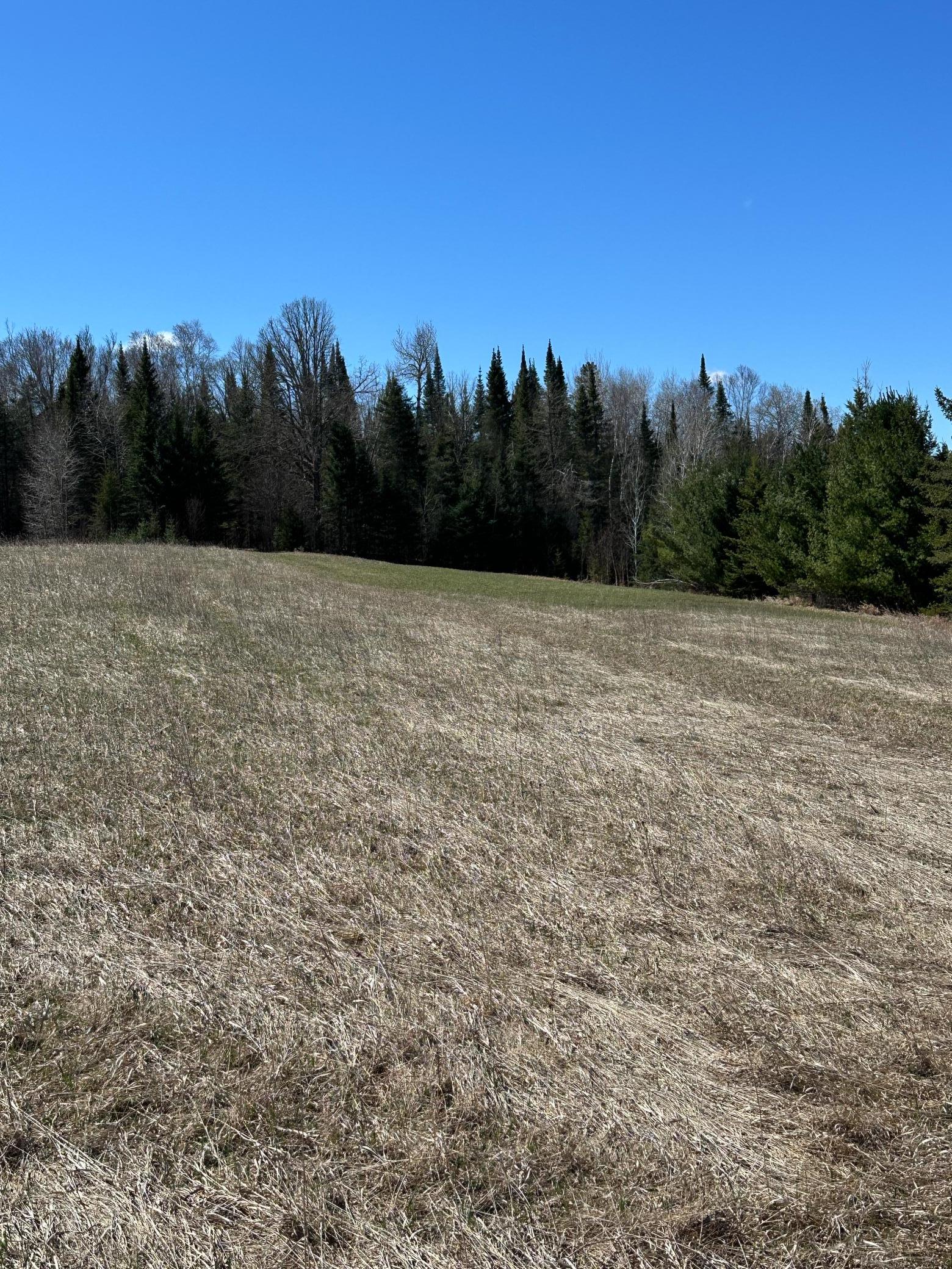land for sale at TBD CT 307 in Blackduck, MN (photo 12 of 19)