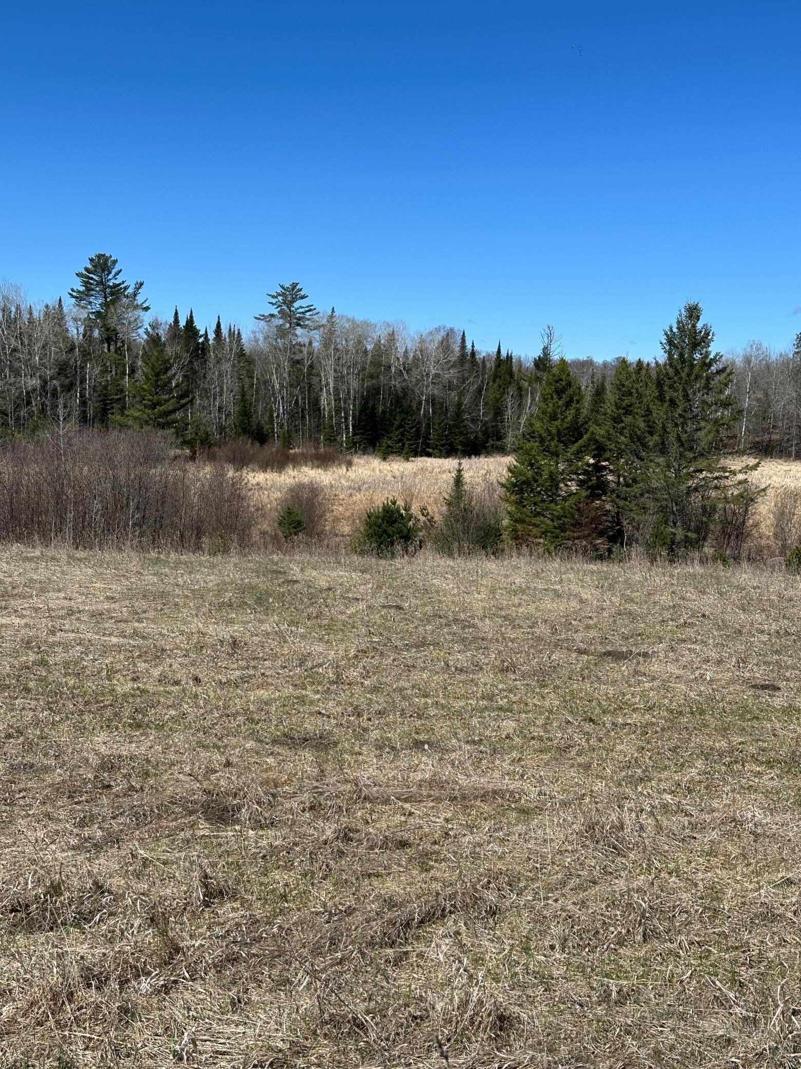 land for sale at TBD CT 307 in Blackduck, MN (photo 13 of 19)