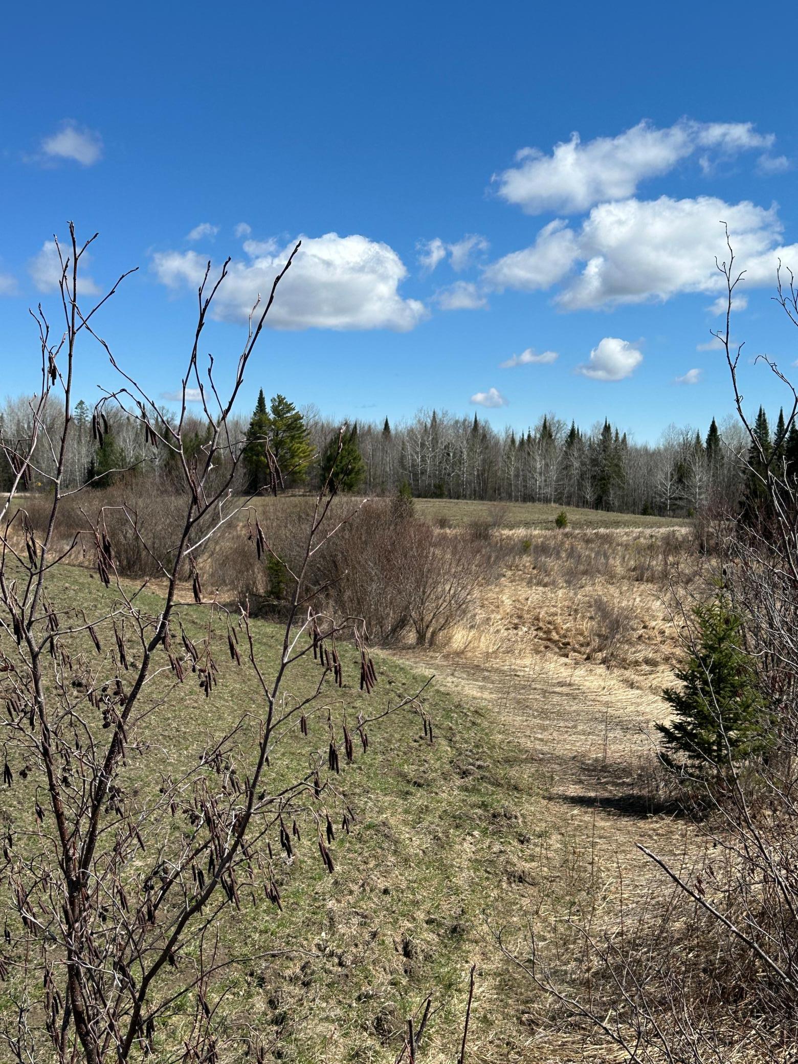 land for sale at TBD CT 307 in Blackduck, MN (photo 14 of 19)