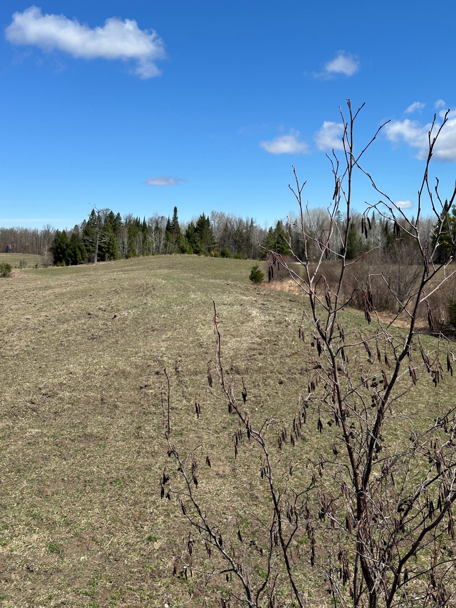 land for sale at TBD CT 307 in Blackduck, MN (photo 15 of 19)