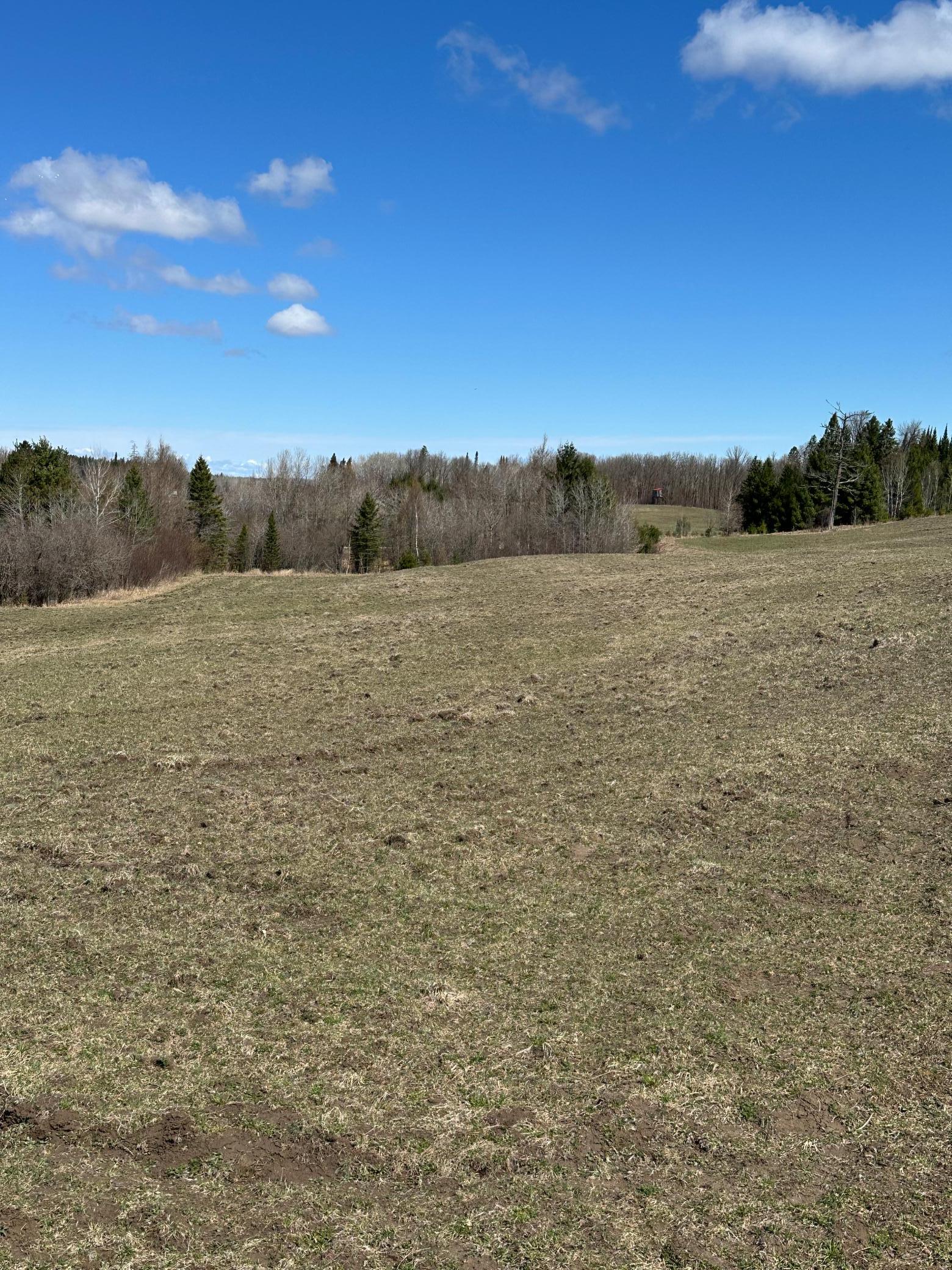 land for sale at TBD CT 307 in Blackduck, MN (photo 16 of 19)