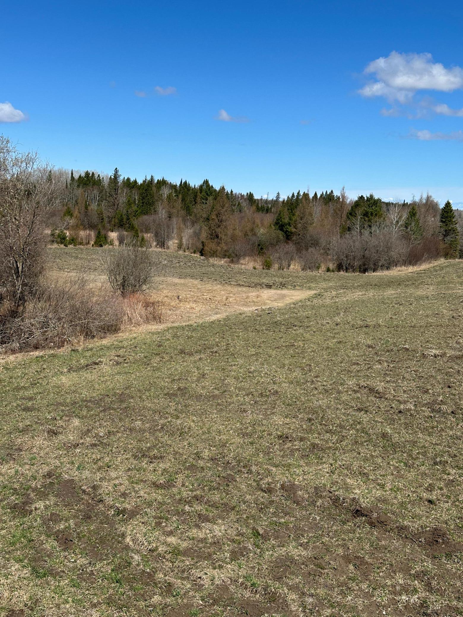 land for sale at TBD CT 307 in Blackduck, MN (photo 17 of 19)