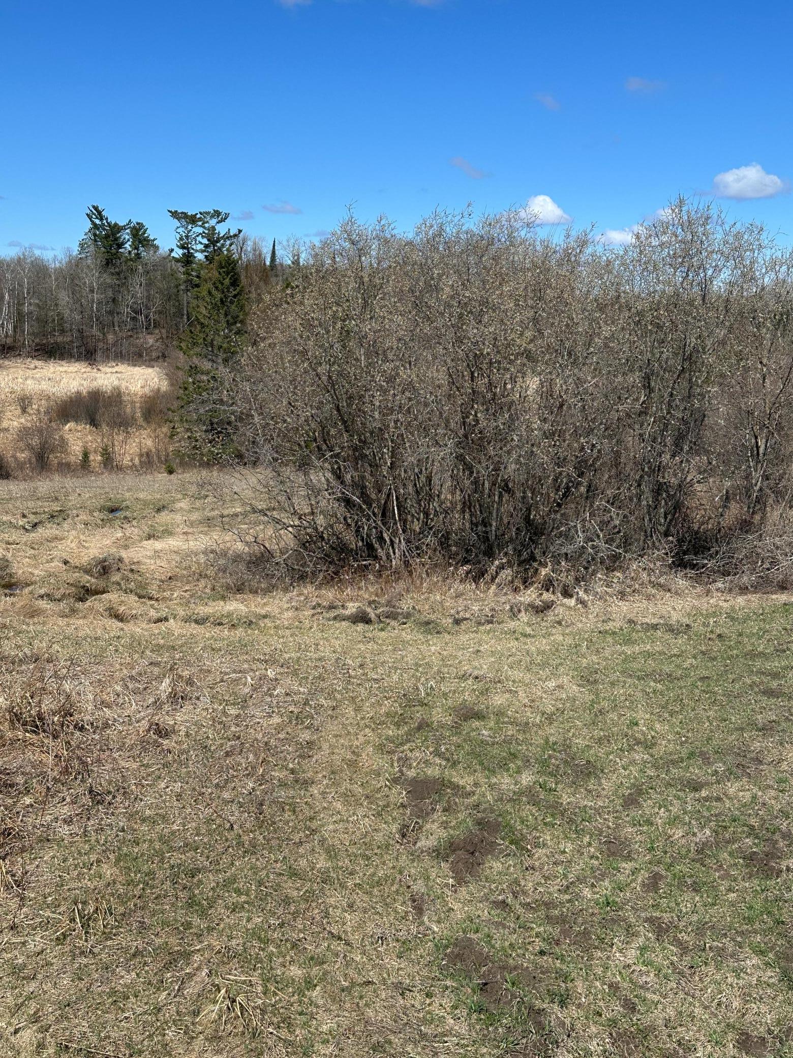 land for sale at TBD CT 307 in Blackduck, MN (photo 18 of 19)