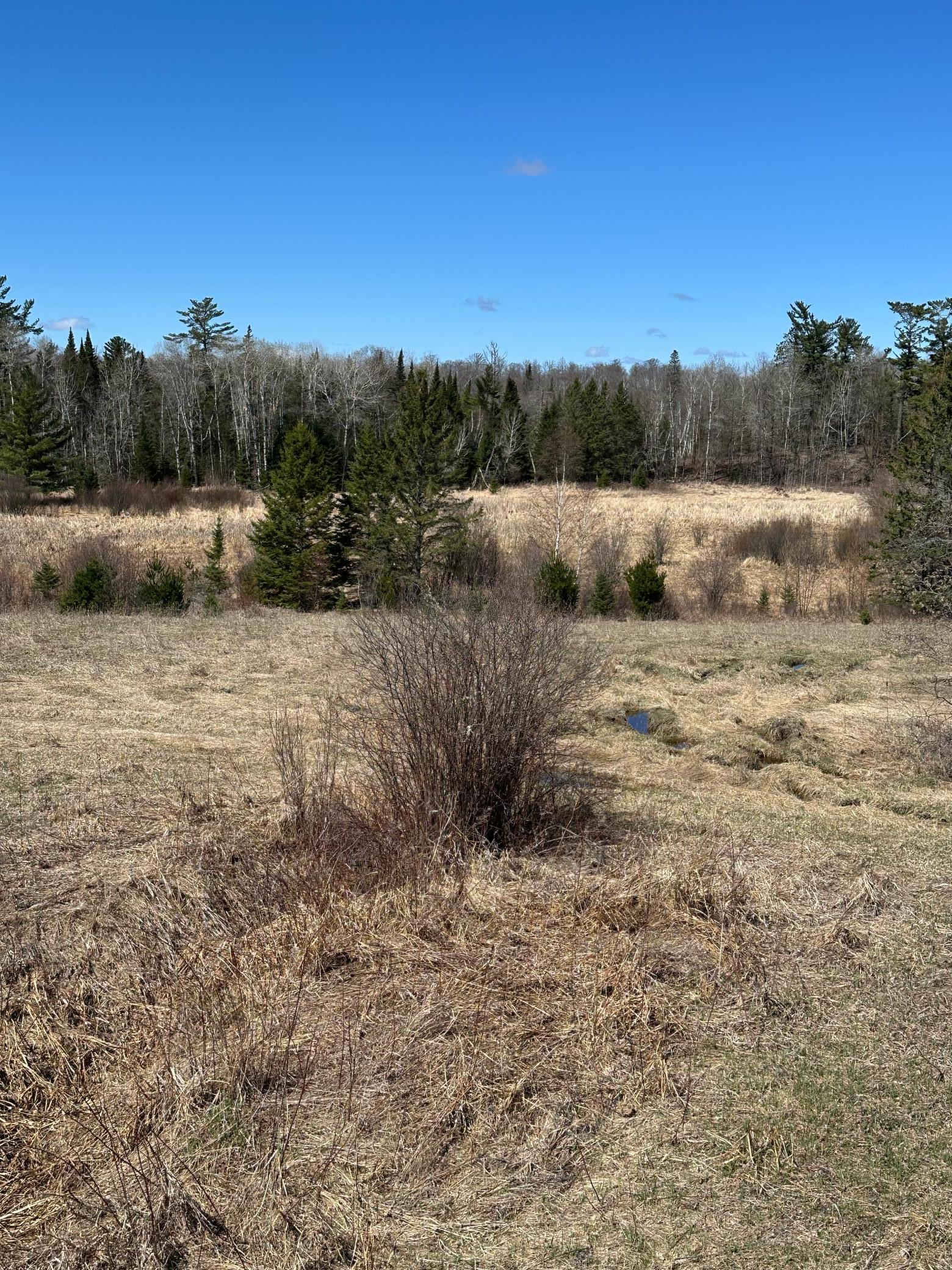 land for sale at TBD CT 307 in Blackduck, MN (photo 19 of 19)