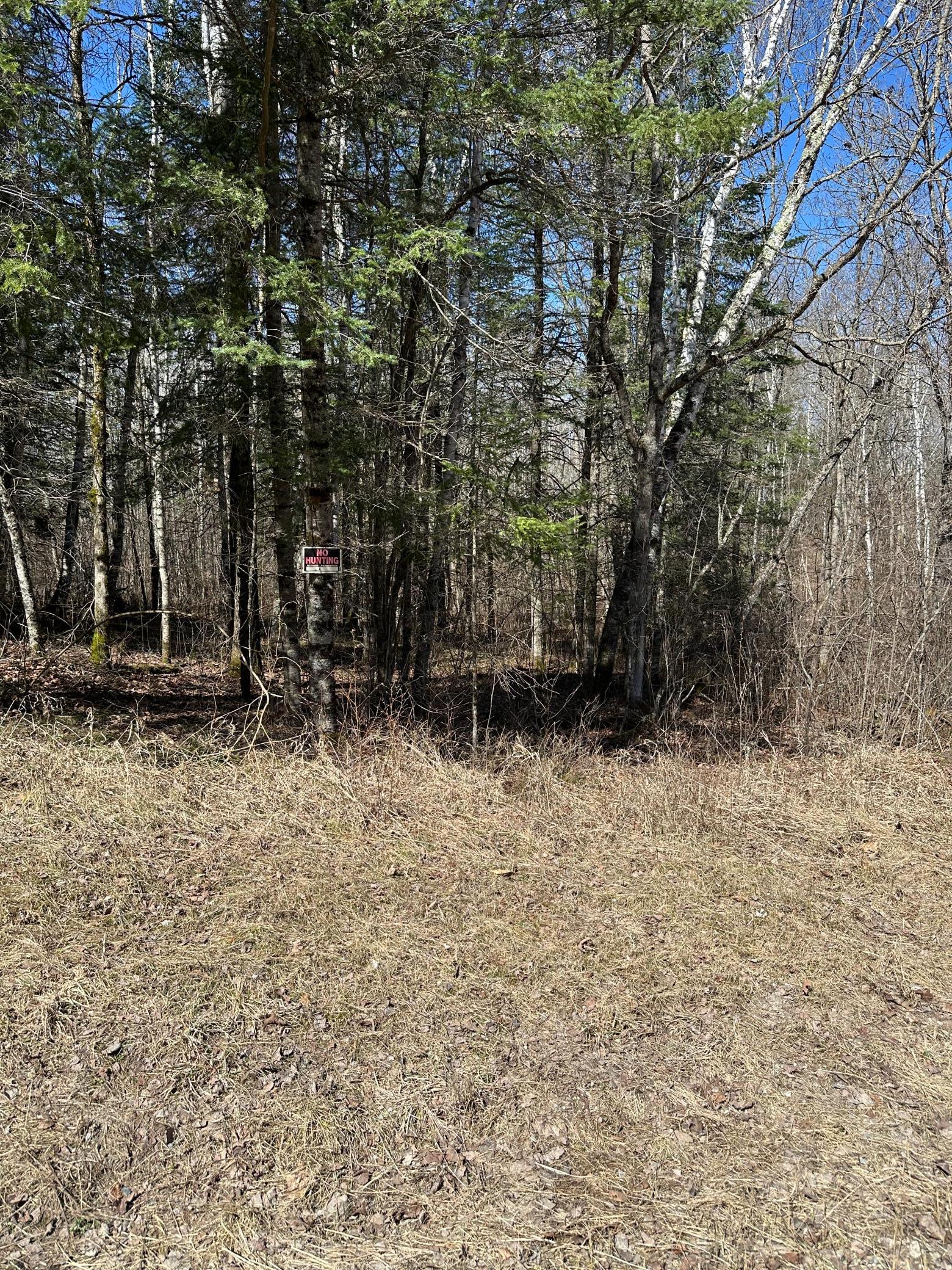 land for sale at TBD CT 307 in Blackduck, MN (photo 3 of 19)
