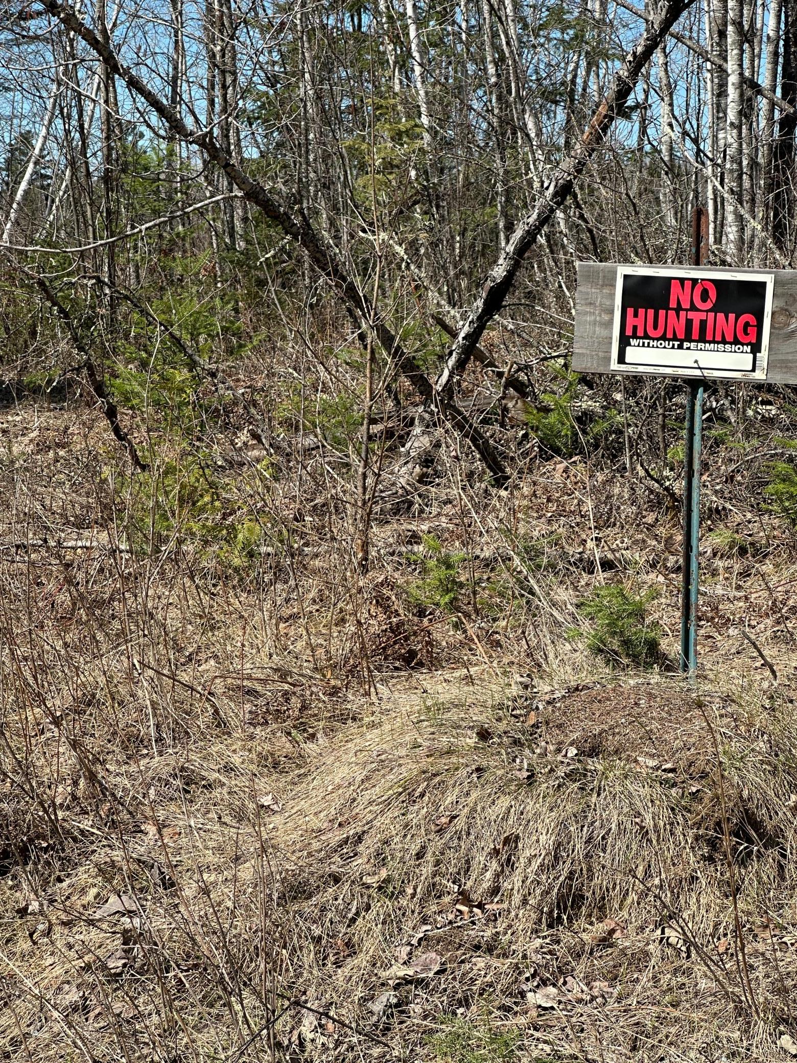 land for sale at TBD CT 307 in Blackduck, MN (photo 5 of 19)