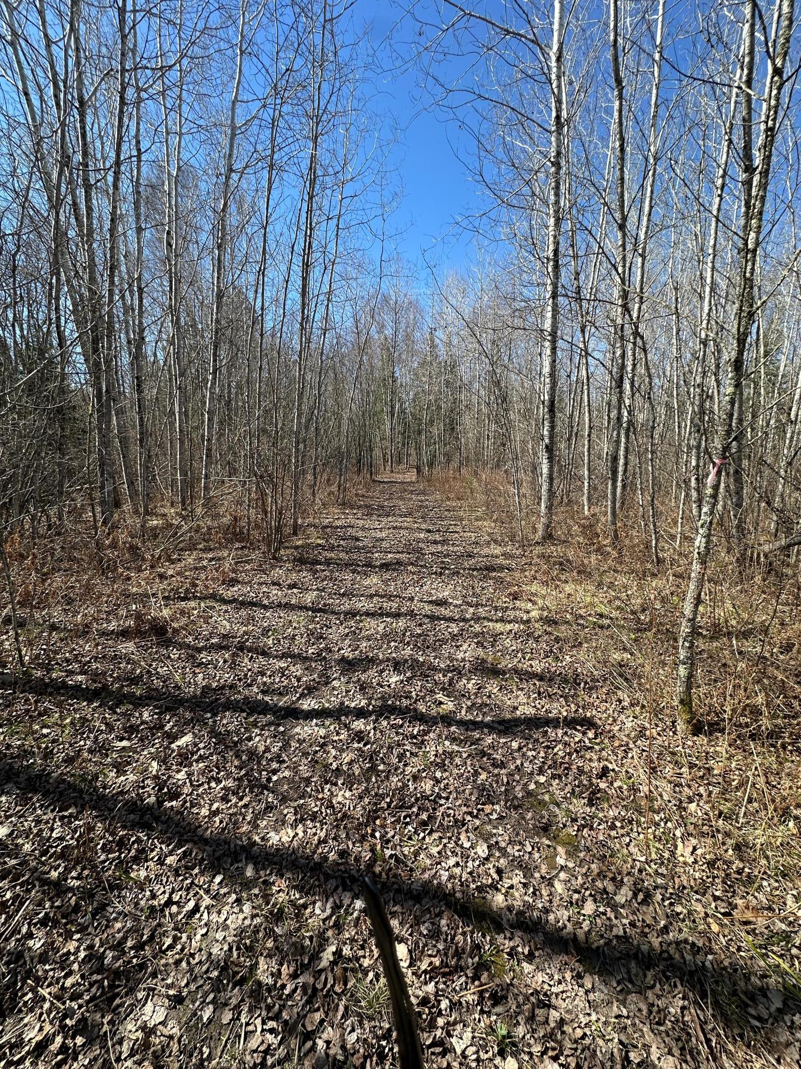land for sale at TBD CT 307 in Blackduck, MN (photo 6 of 19)