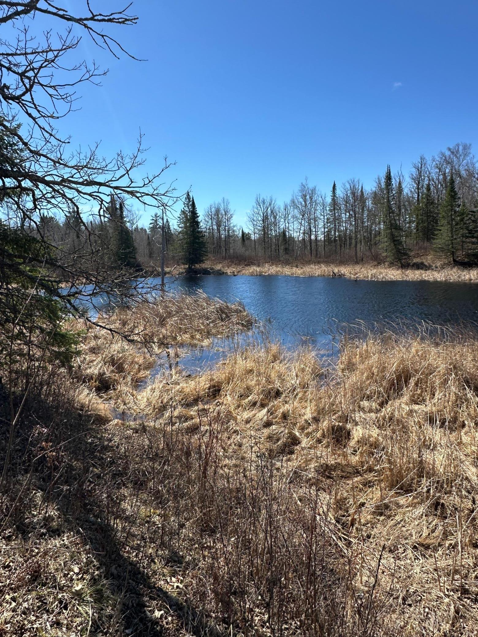 land for sale at TBD CT 307 in Blackduck, MN (photo 7 of 19)
