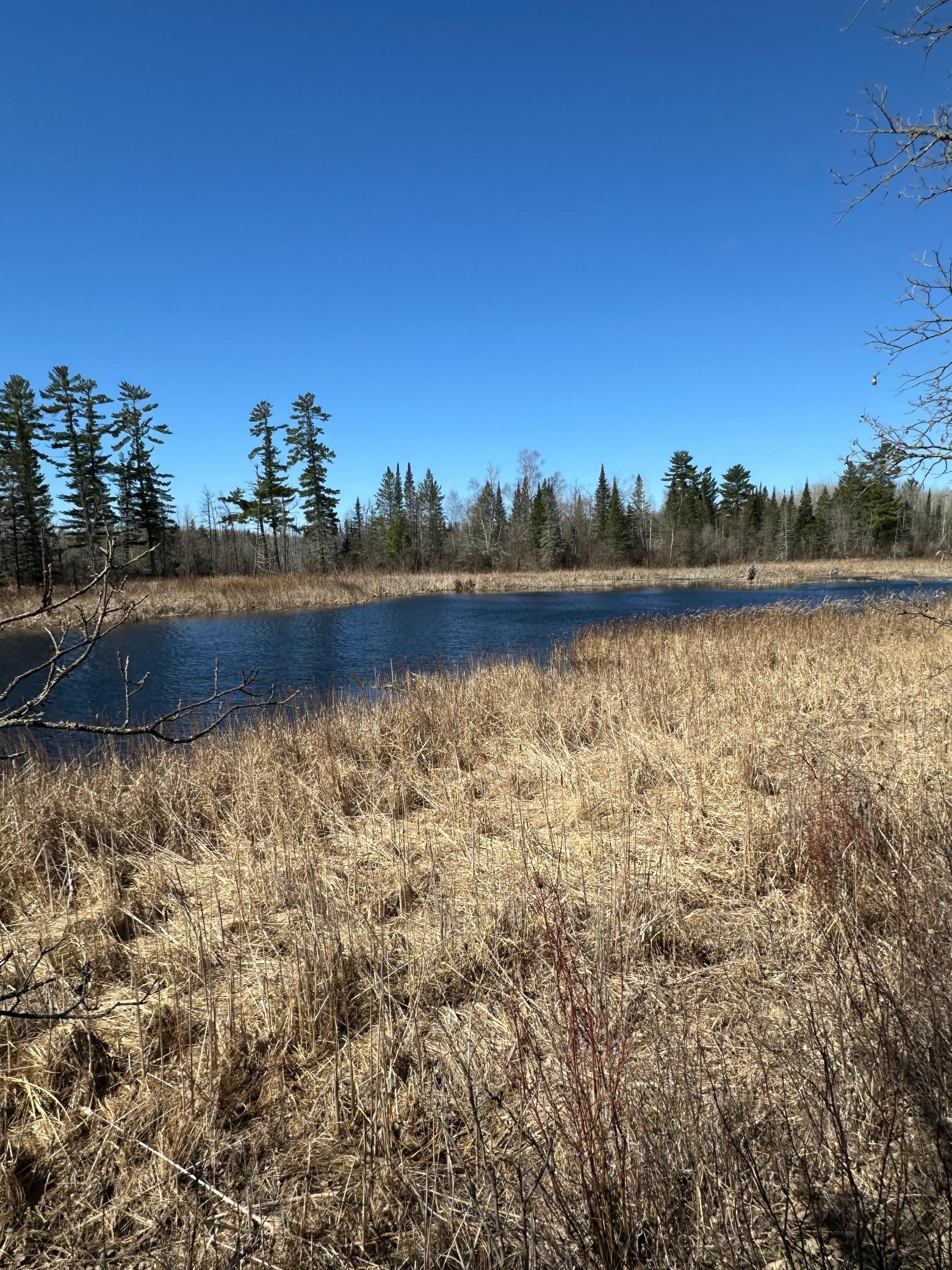 land for sale at TBD CT 307 in Blackduck, MN (photo 8 of 19)