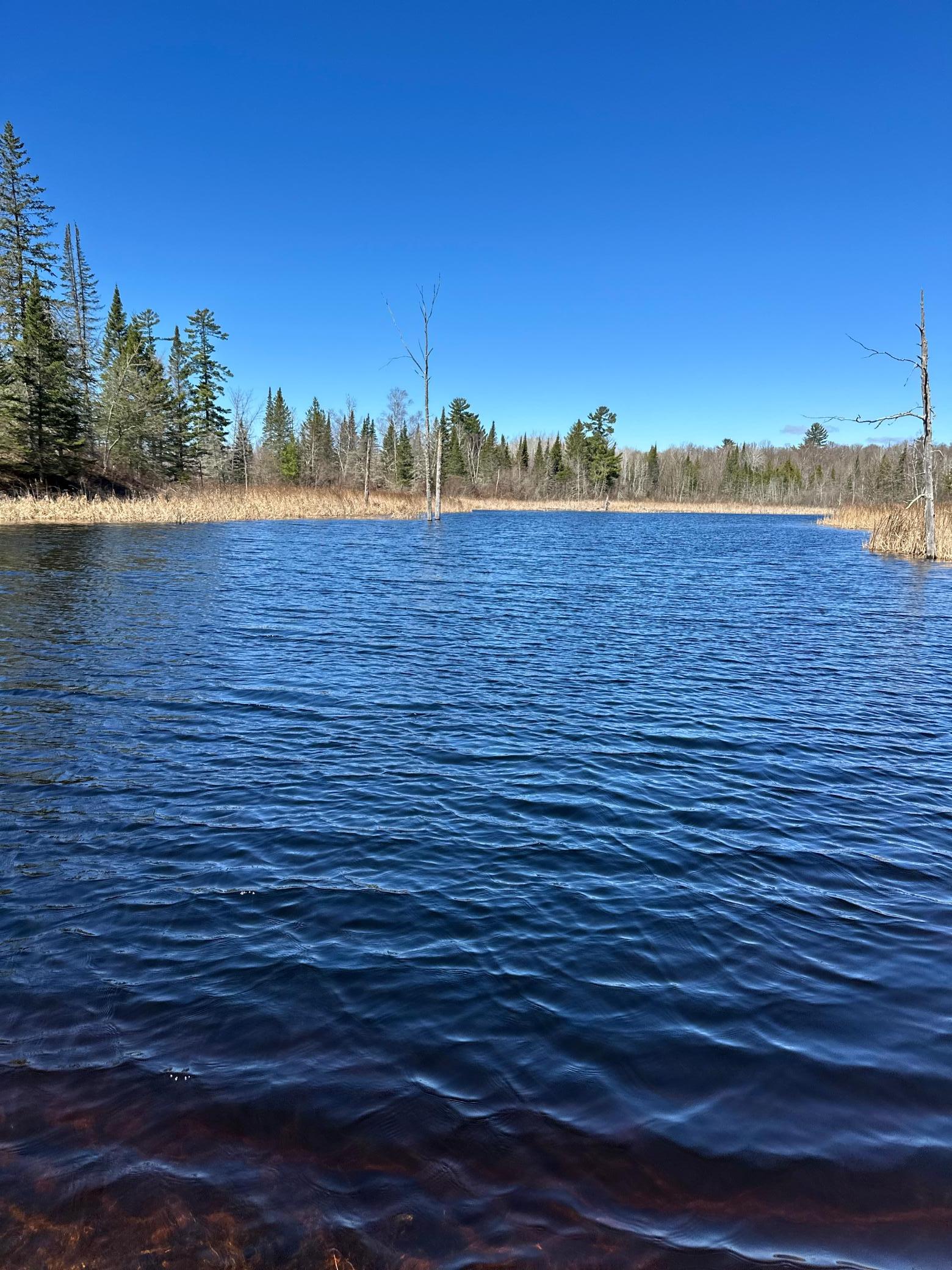 land for sale at TBD CT 307 in Blackduck, MN (photo 9 of 19)