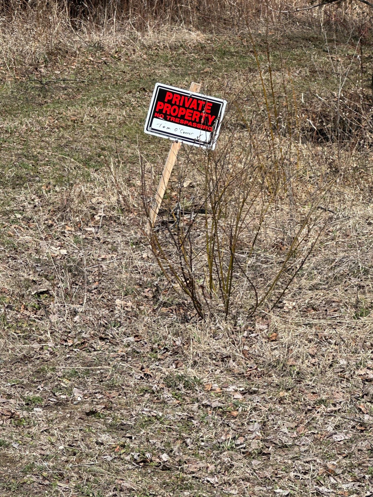 land for sale at TBD CT 307 in Blackduck, MN (photo 10 of 19)