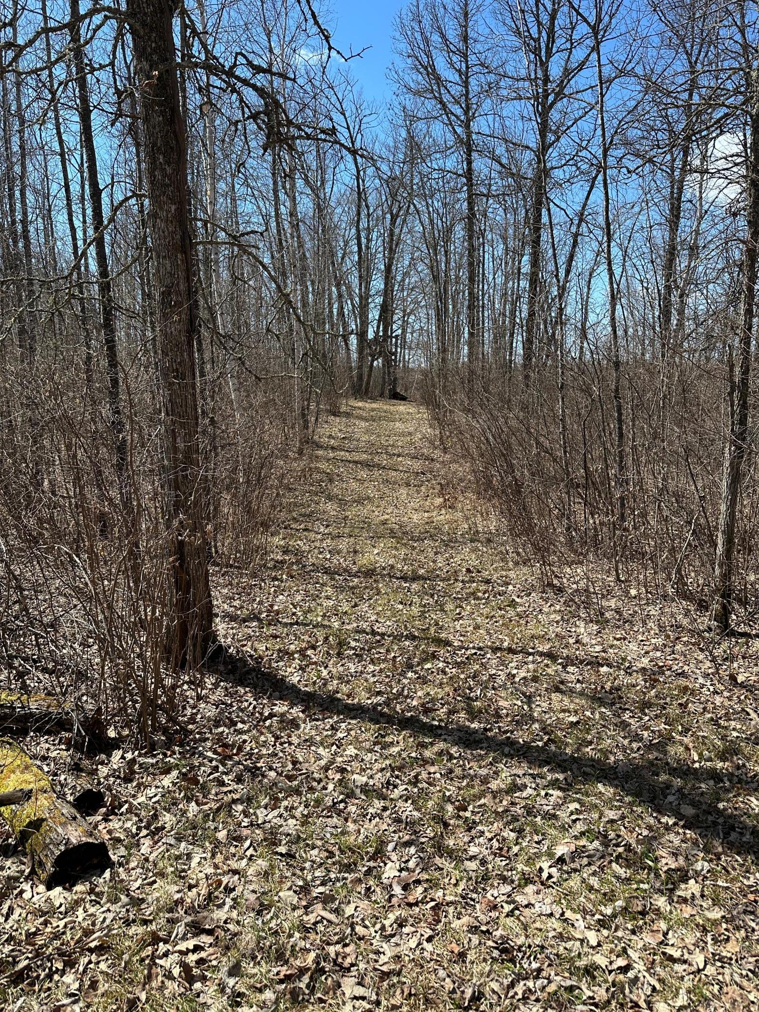 land for sale at TBD Ct Rd 307 in Blackduck, MN (photo 11 of 15)