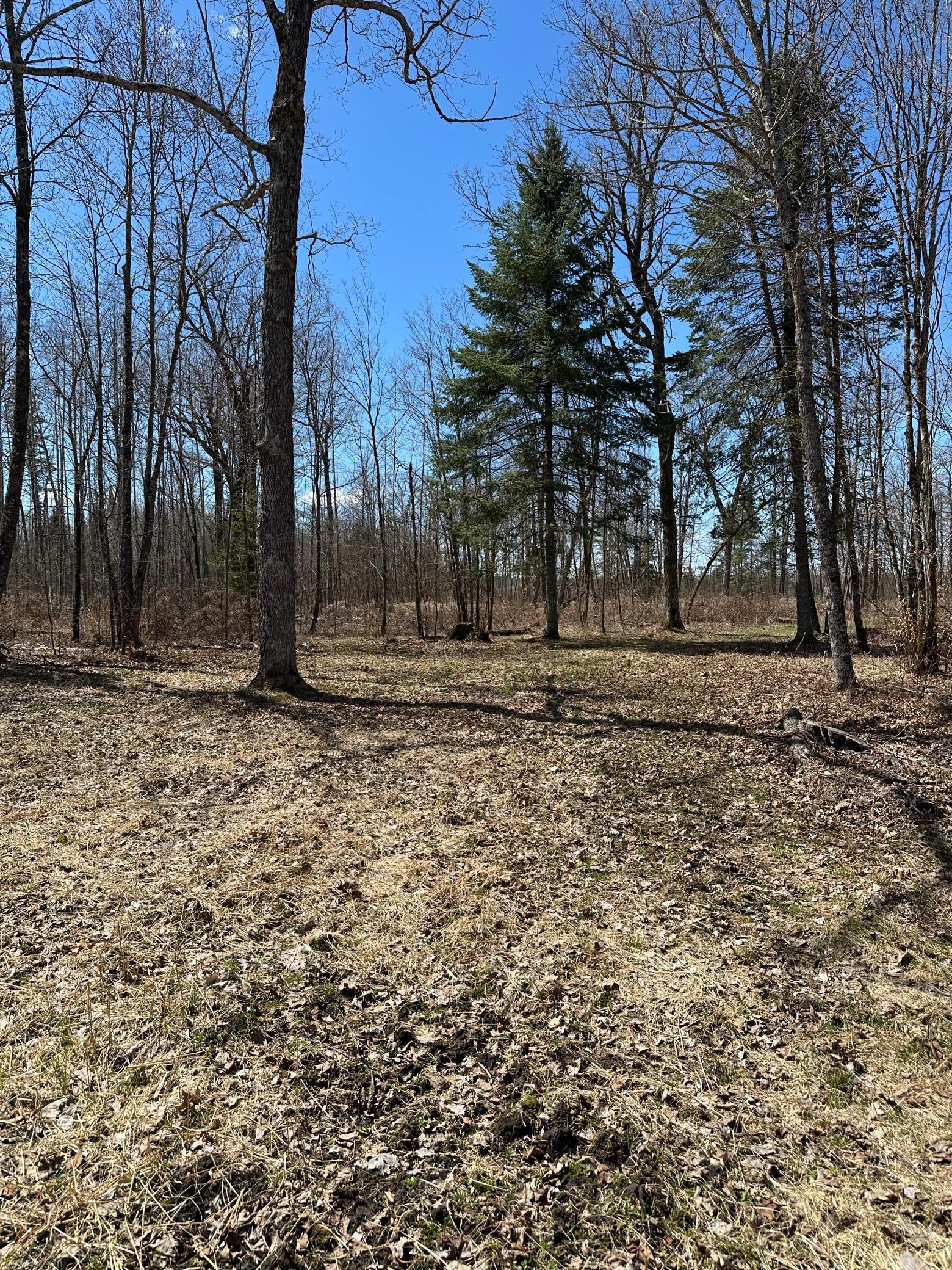 land for sale at TBD Ct Rd 307 in Blackduck, MN (photo 14 of 15)