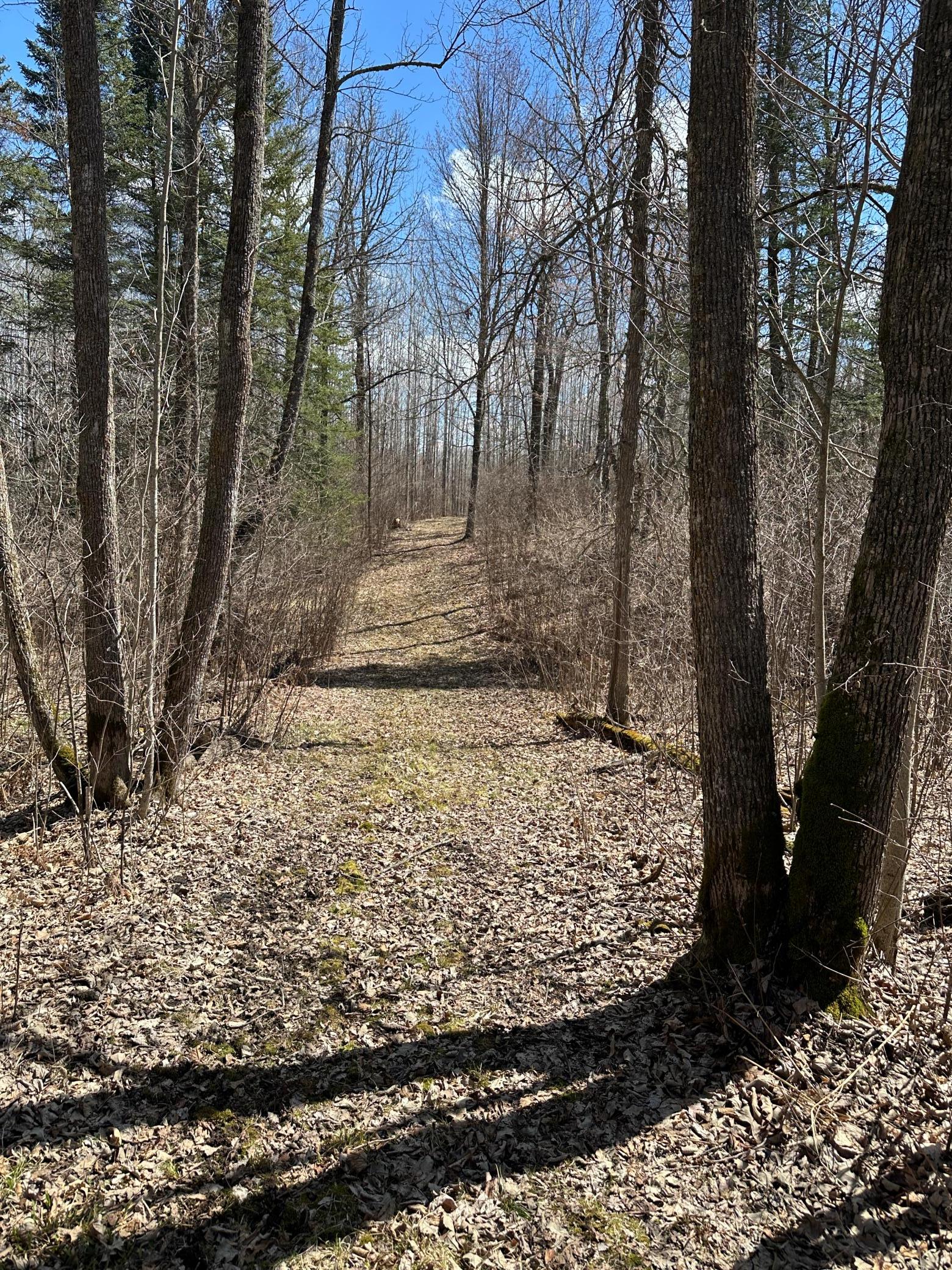 land for sale at TBD Ct Rd 307 in Blackduck, MN (photo 3 of 15)