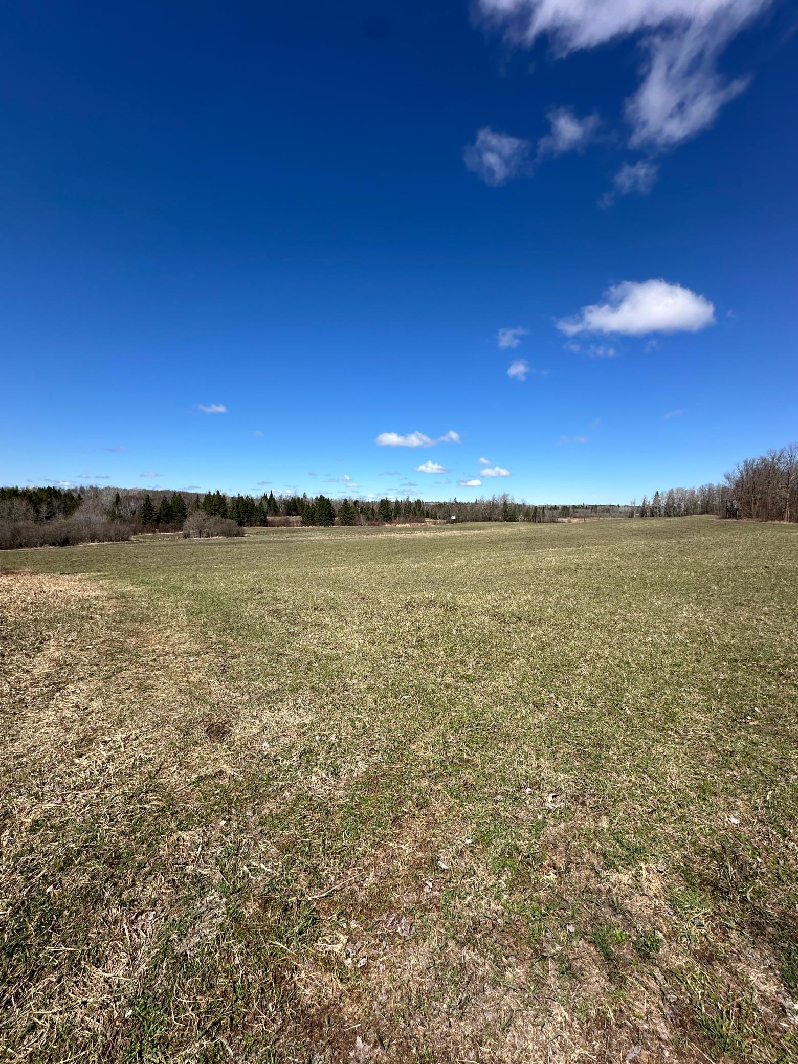 land for sale at TBD Ct Rd 307 in Blackduck, MN (photo 4 of 15)