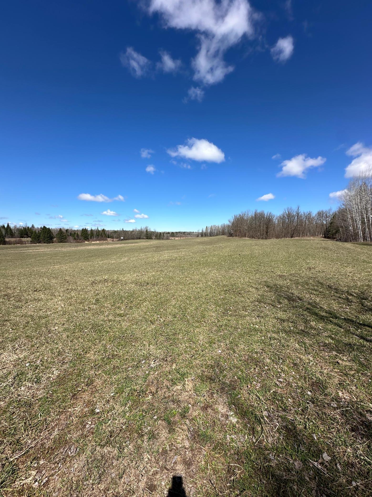 land for sale at TBD Ct Rd 307 in Blackduck, MN (photo 6 of 15)