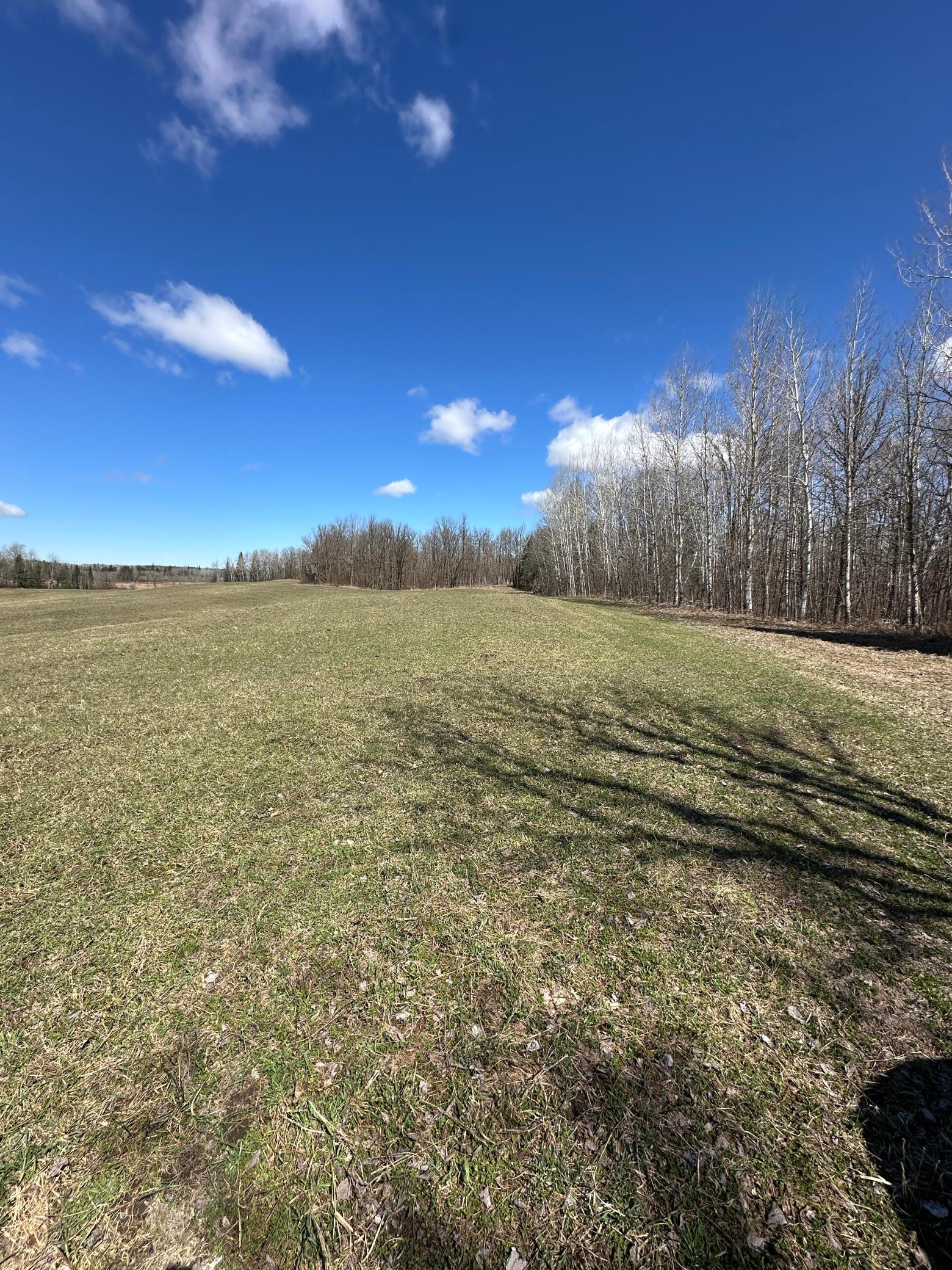 land for sale at TBD Ct Rd 307 in Blackduck, MN (photo 7 of 15)