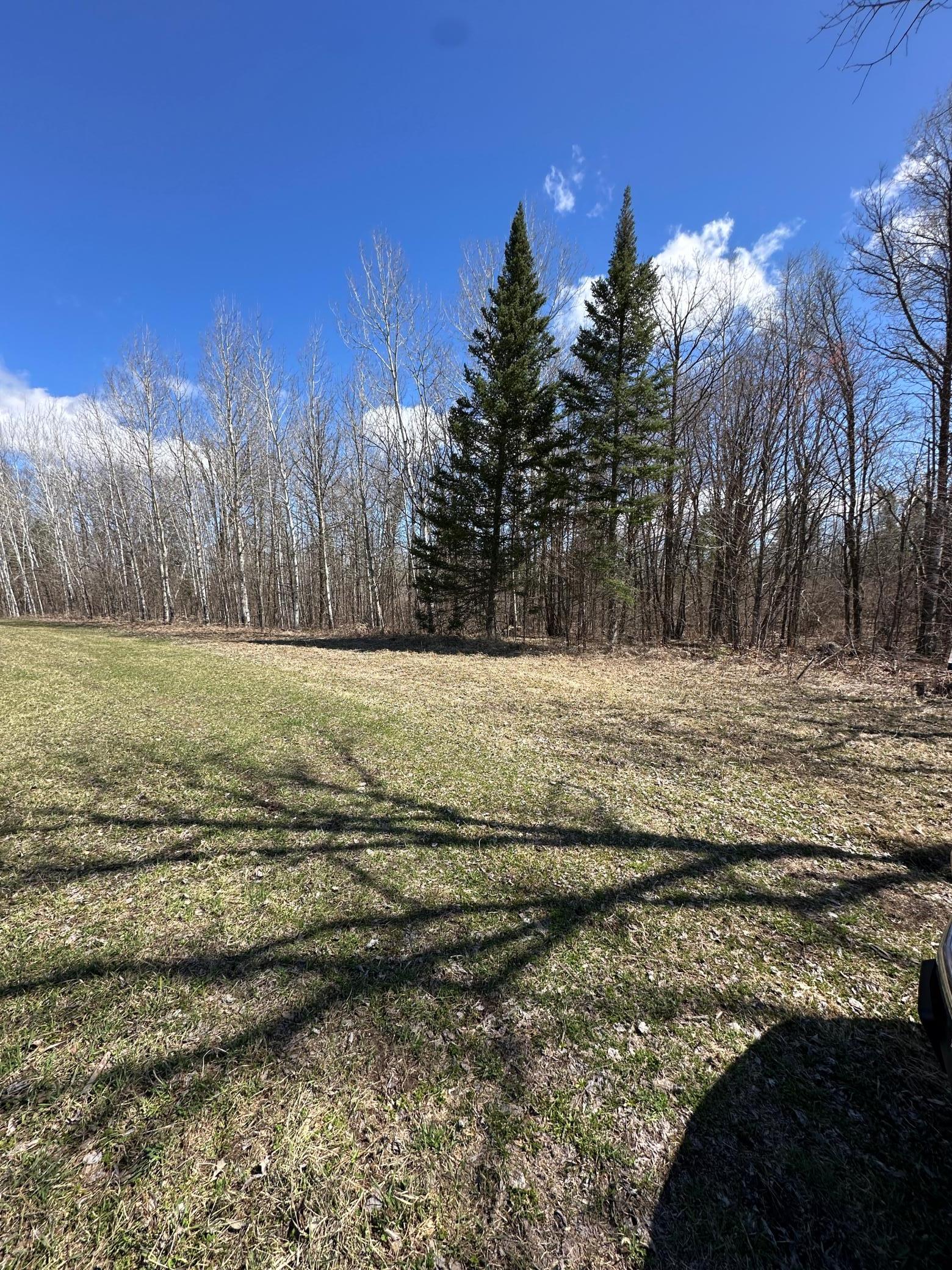land for sale at TBD Ct Rd 307 in Blackduck, MN (photo 8 of 15)