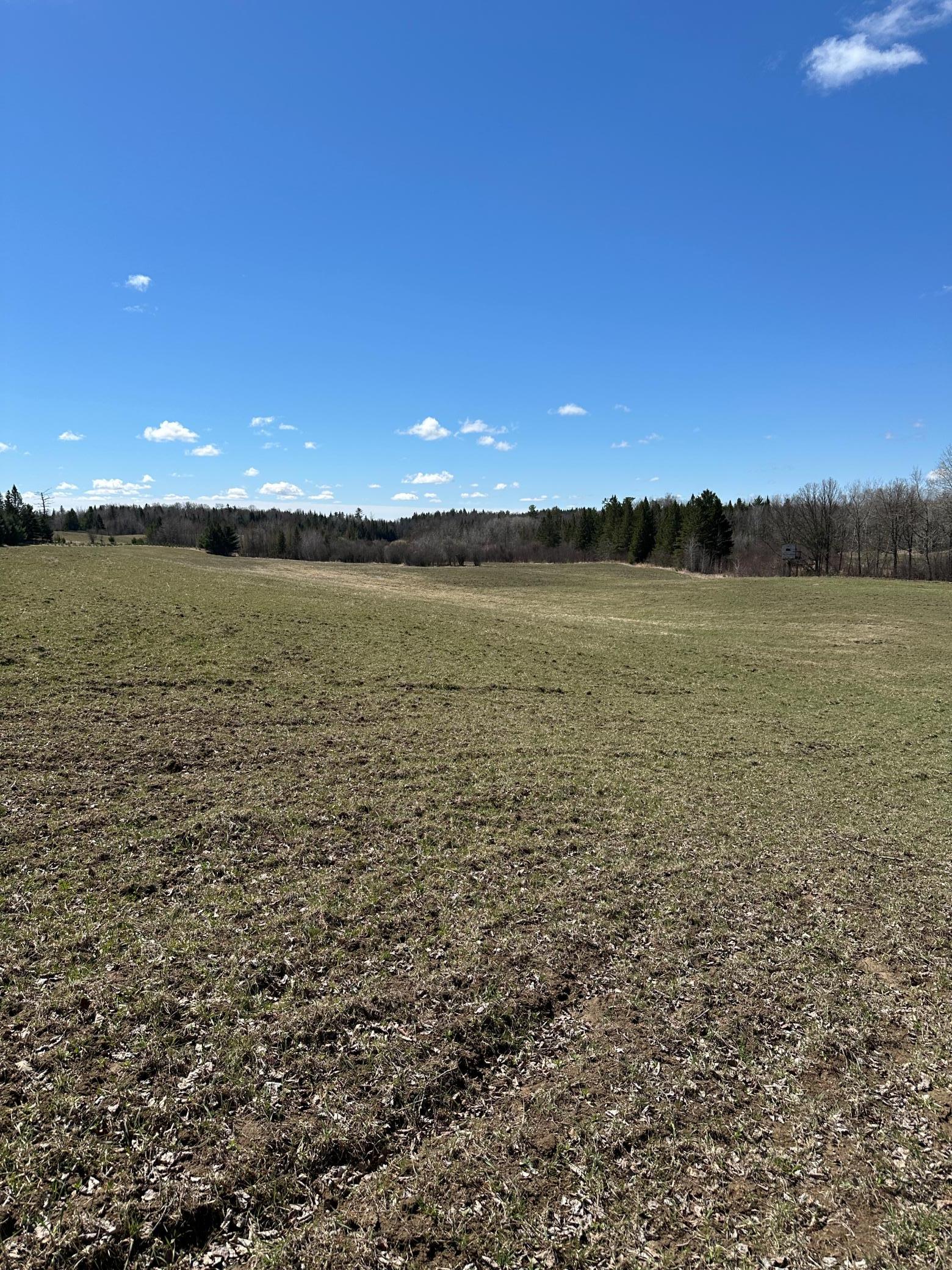 land for sale at TBD Ct Rd 307 in Blackduck, MN (photo 9 of 15)