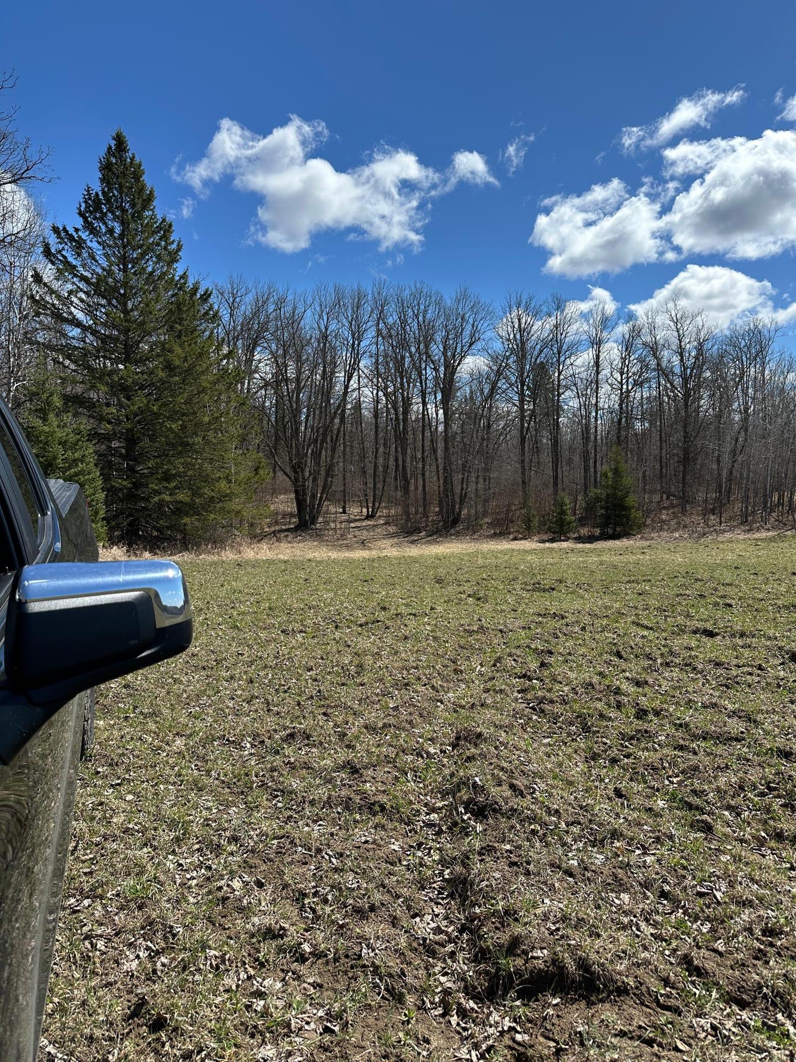 land for sale at TBD Ct Rd 307 in Blackduck, MN (photo 10 of 15)