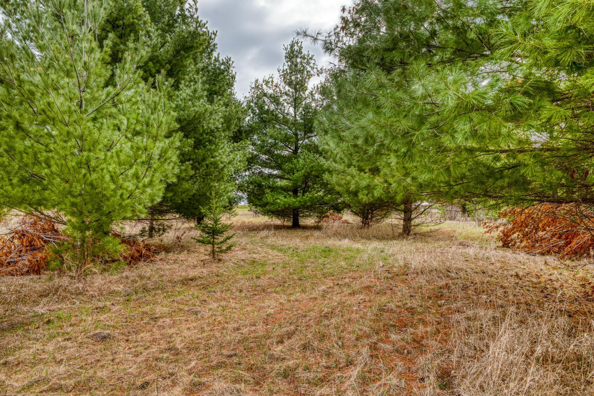 land for sale at TBD Hwy 71 South in Bemidji, MN (photo 28 of 33)