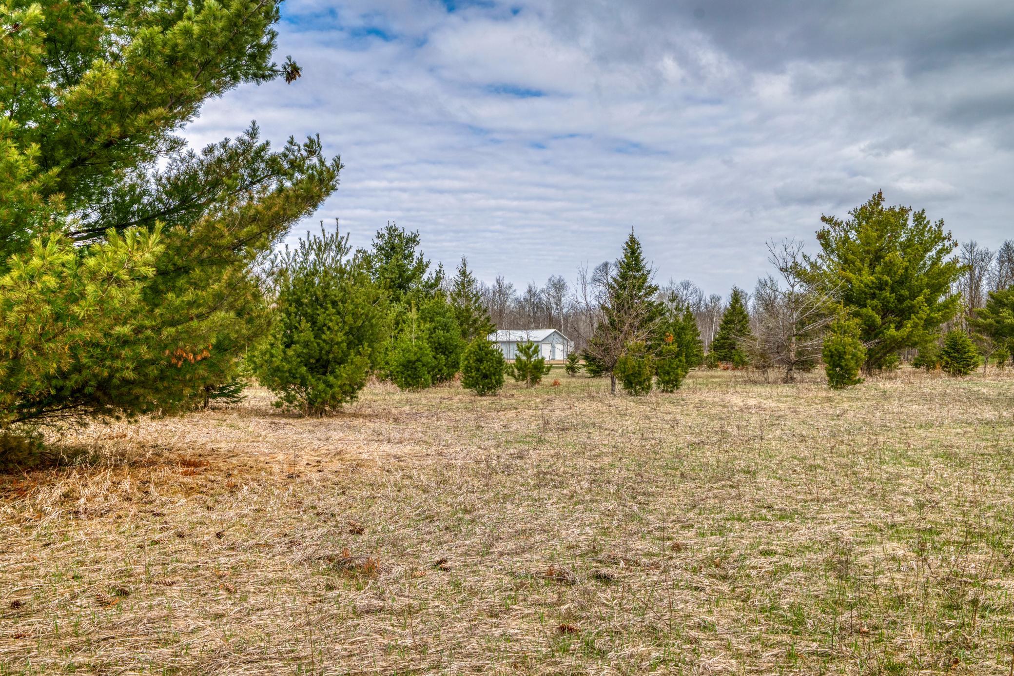 land for sale at TBD Hwy 71 South in Bemidji, MN (photo 30 of 33)