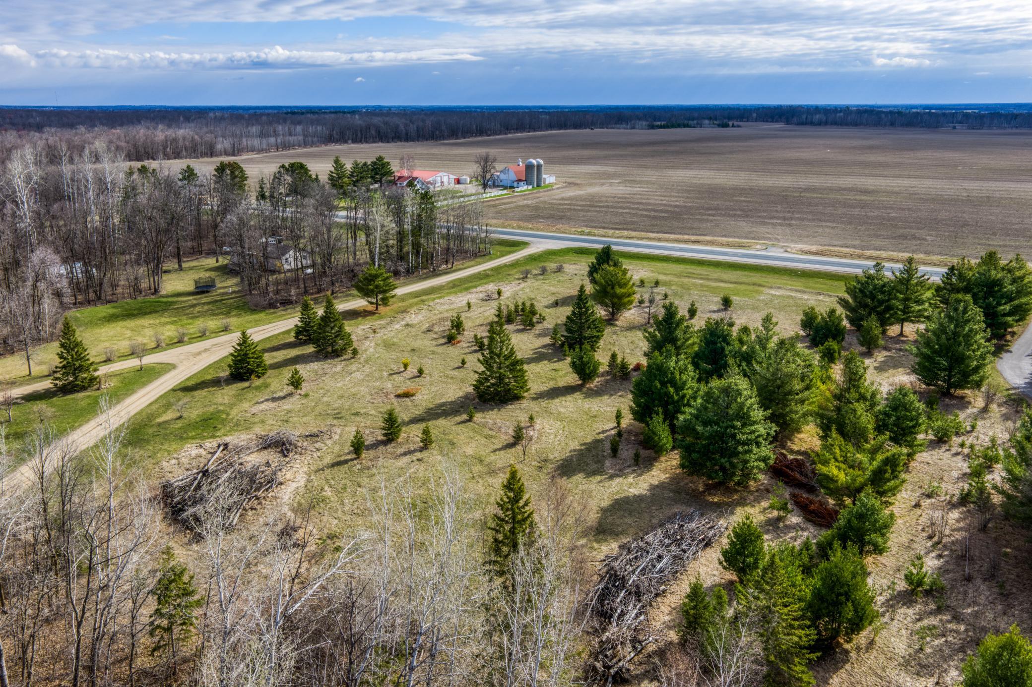 land for sale at TBD Hwy 71 South in Bemidji, MN (photo 4 of 33)