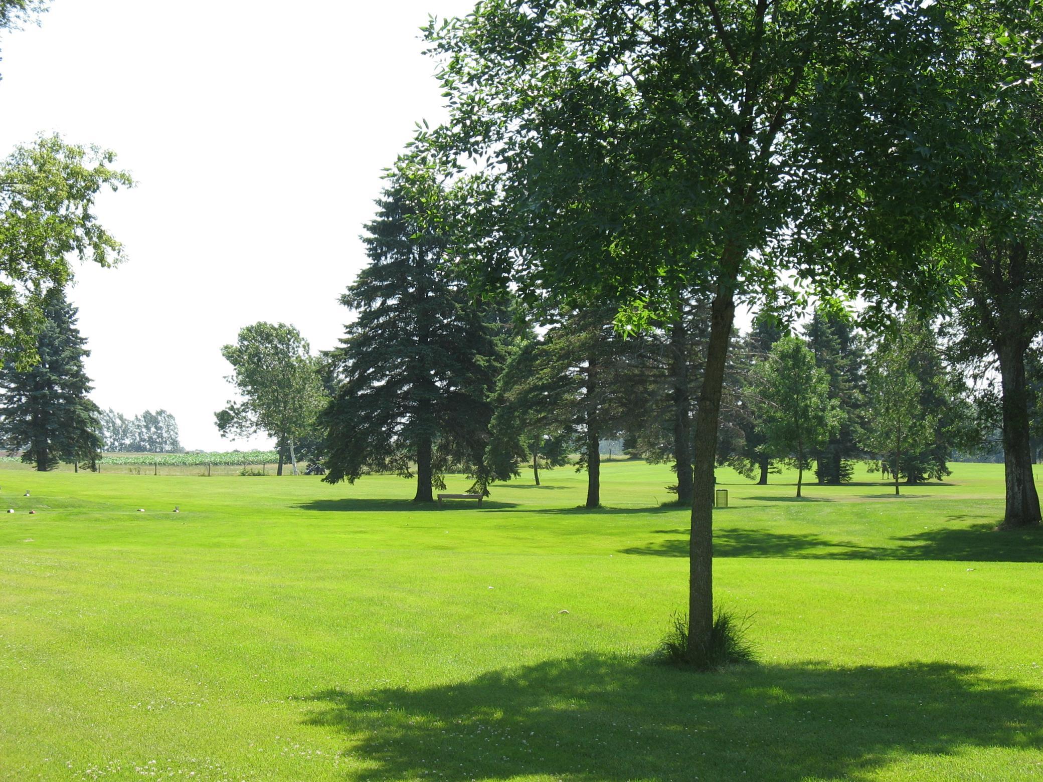 land for sale at Lot 4 Blk2 285th Street in Battle Lake, MN (photo 11 of 11)