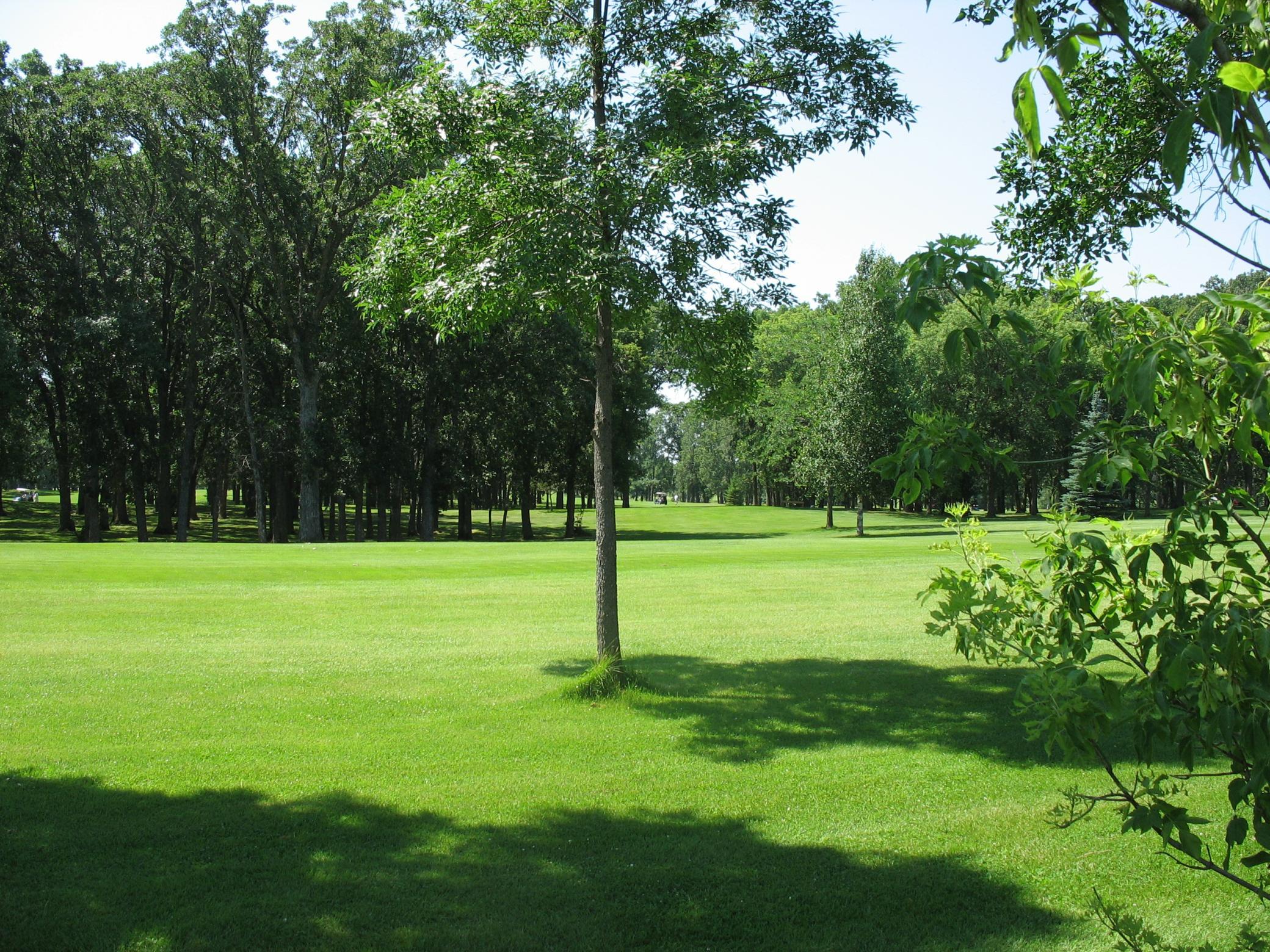 land for sale at Lot8 Blk1 285th Street in Battle Lake, MN (photo 10 of 12)